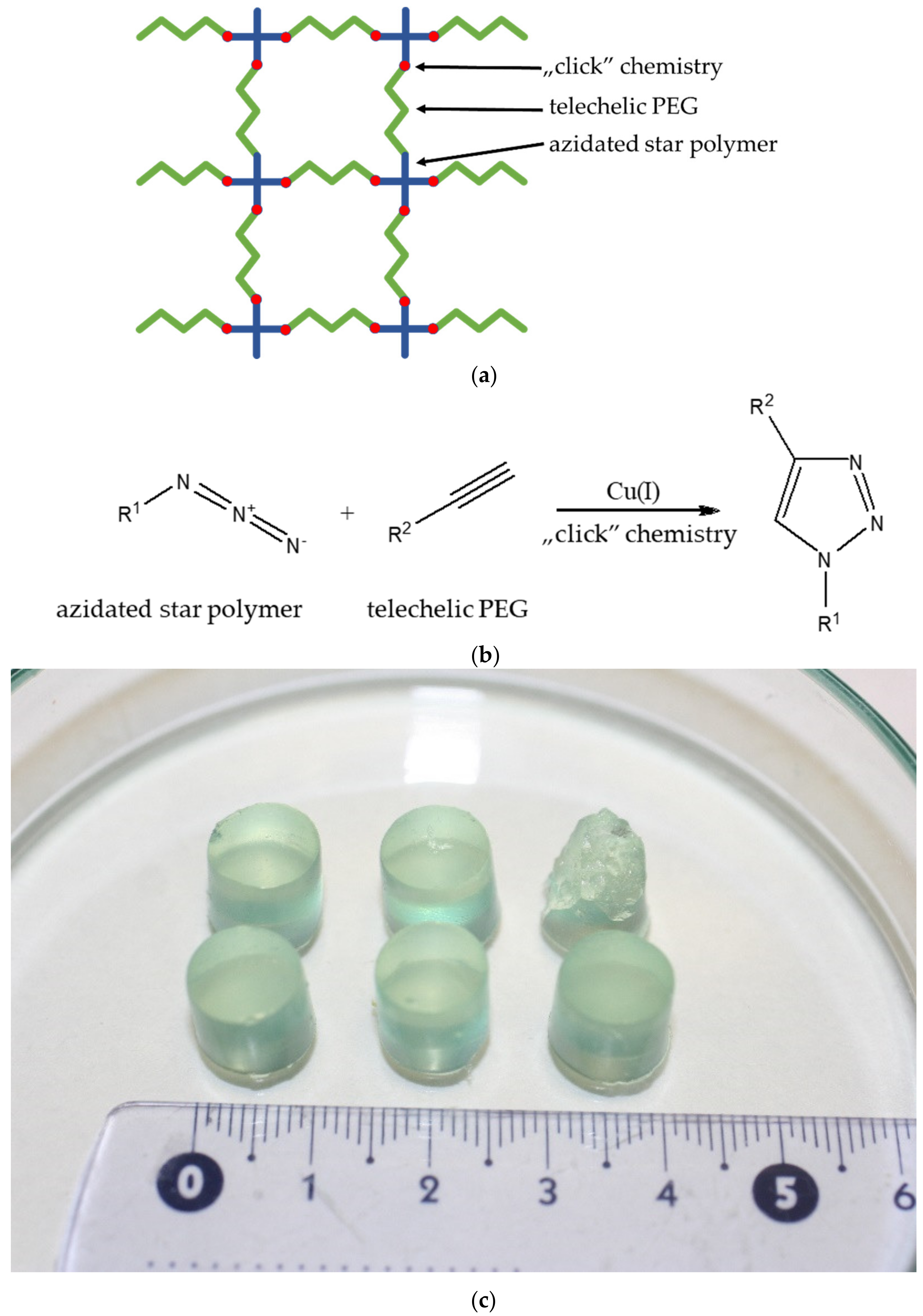Polymers 14 02795 g007 550
