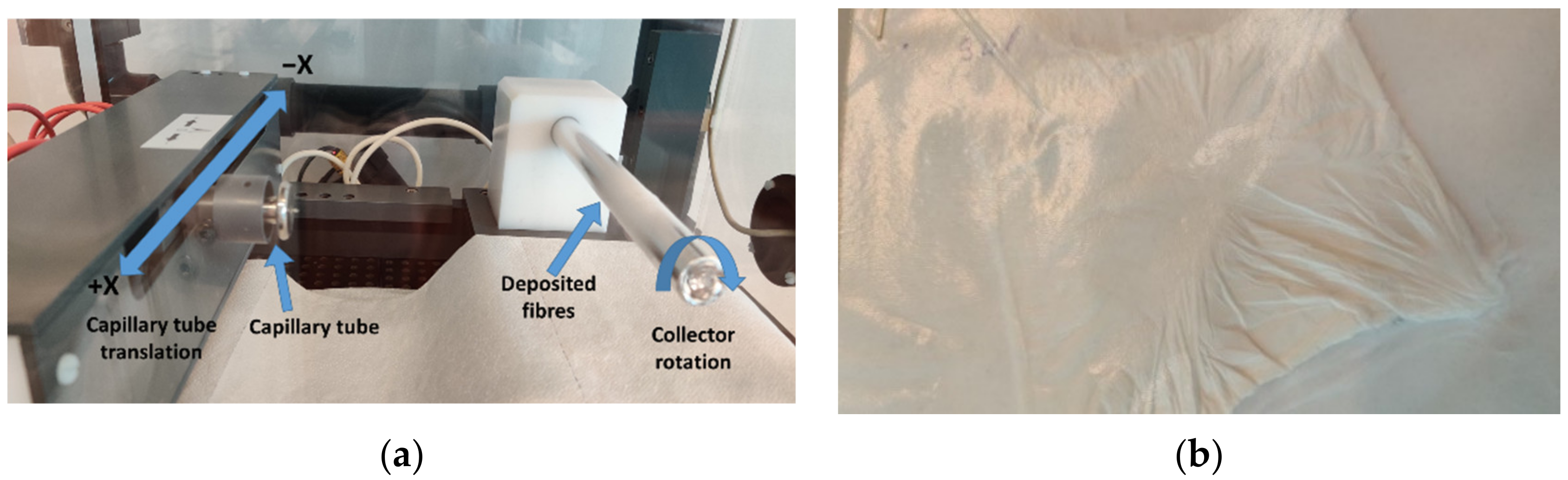 Polymers 14 02798 g002