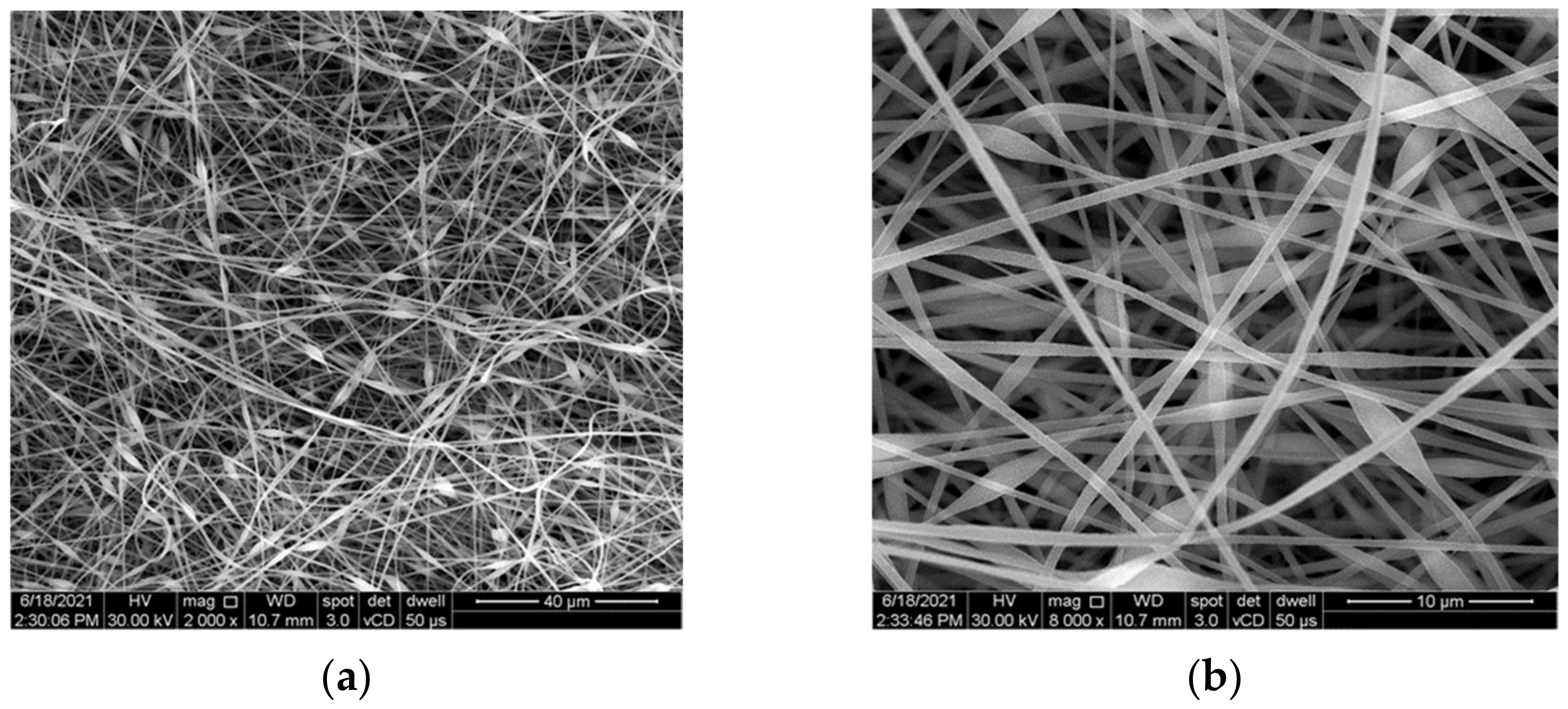 Polymers 14 02798 g003a