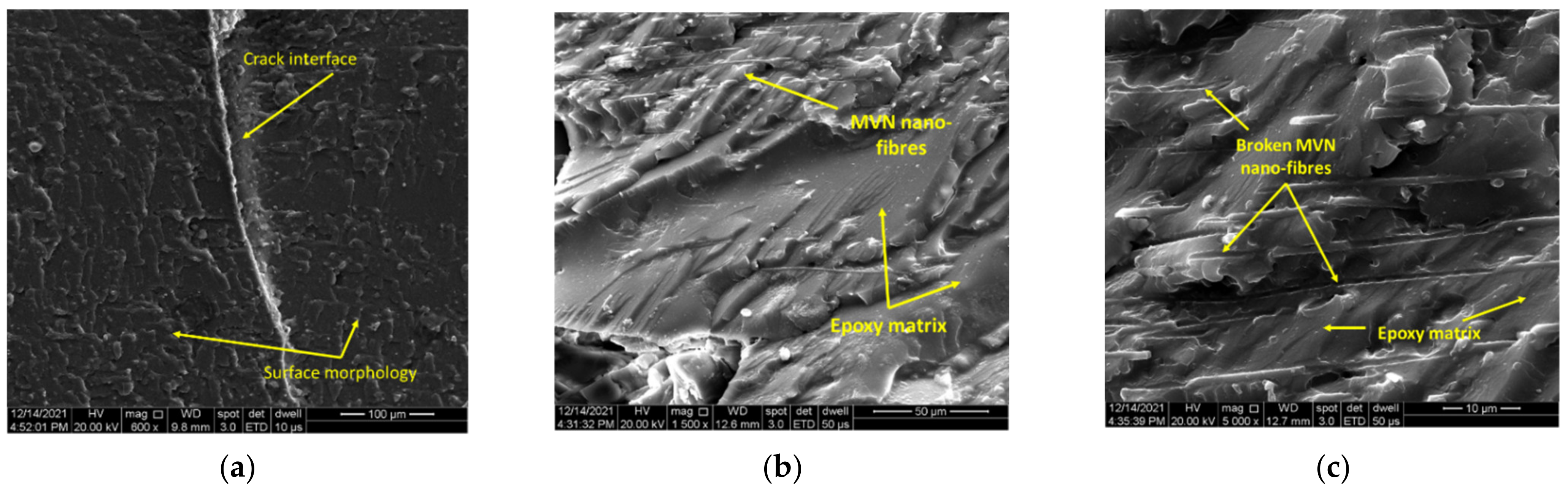 Polymers 14 02798 g013a