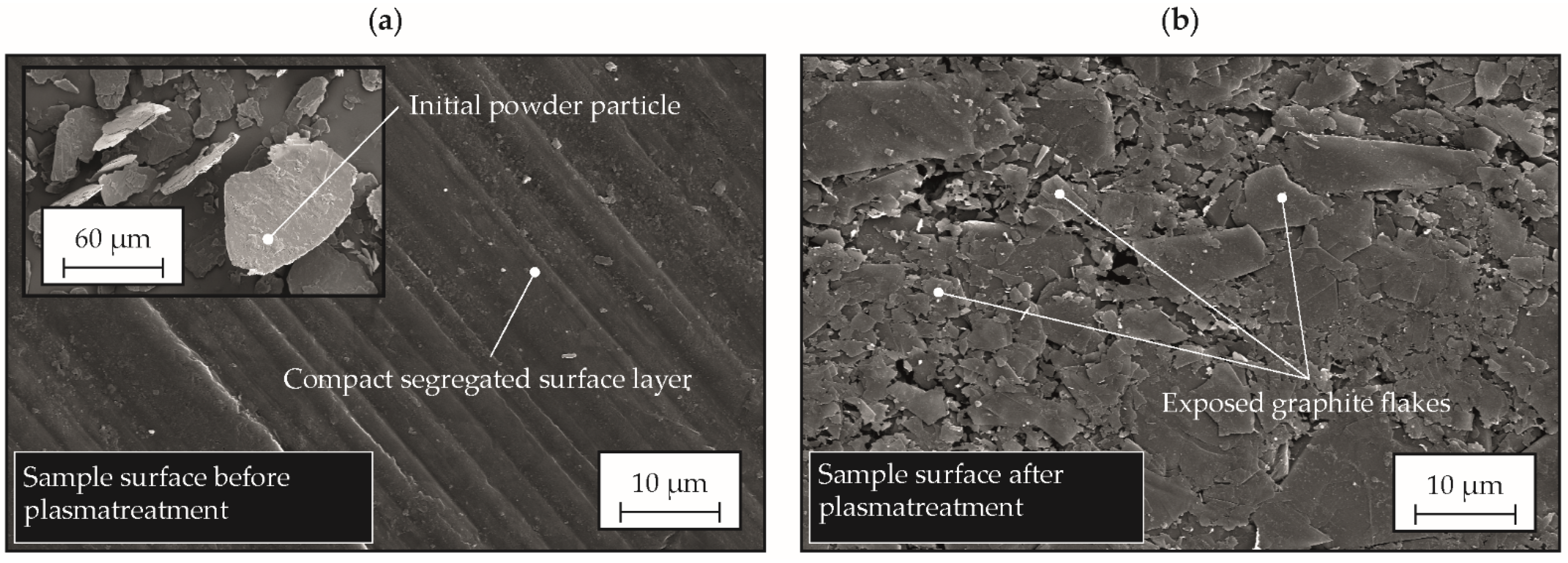 Polymers 14 02799 g007