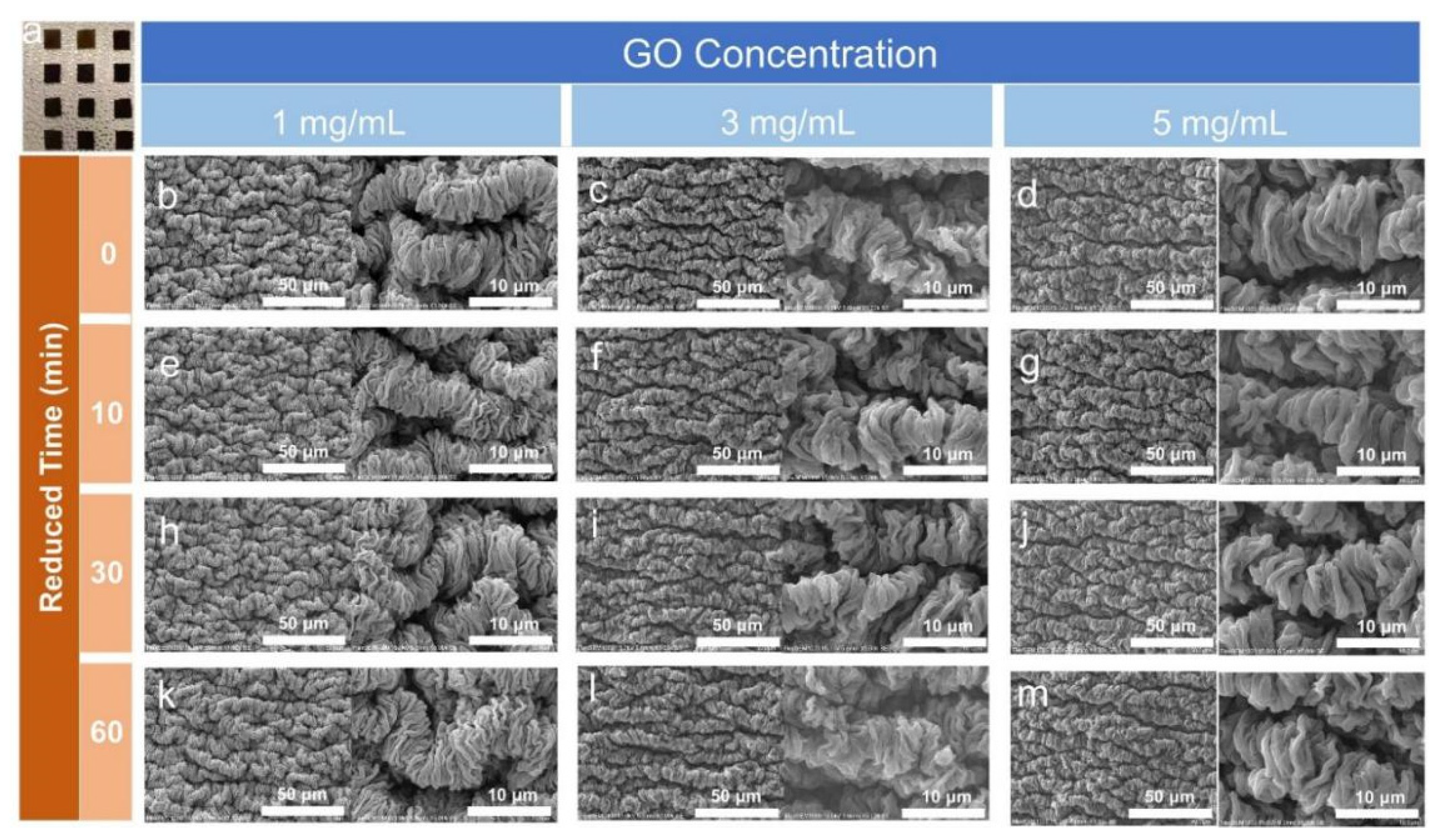 Polymers 14 02800 g002