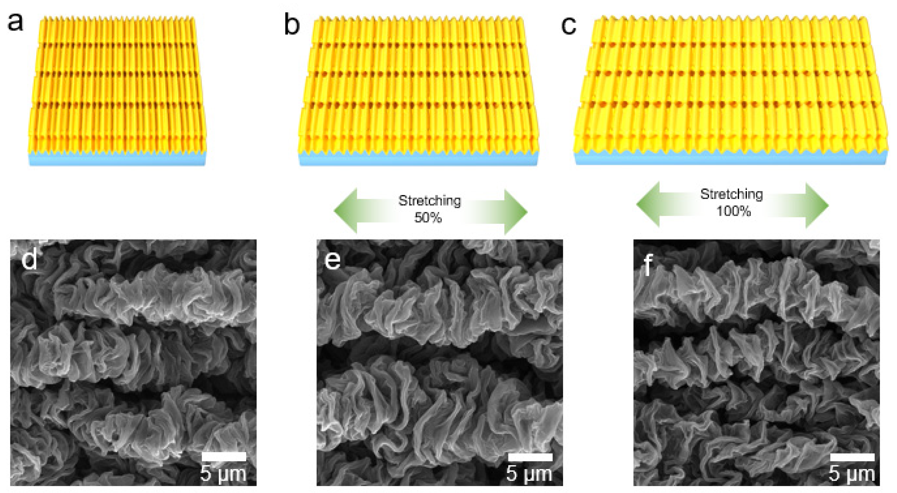 Polymers 14 02800 g008