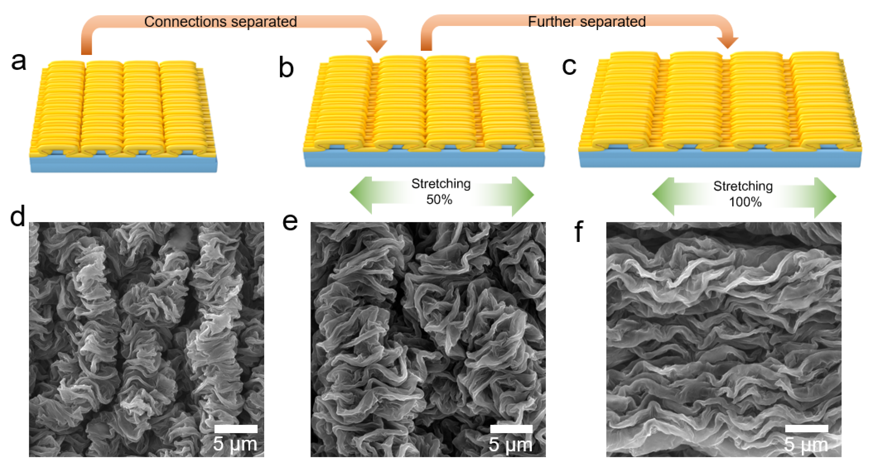 Polymers 14 02800 g010