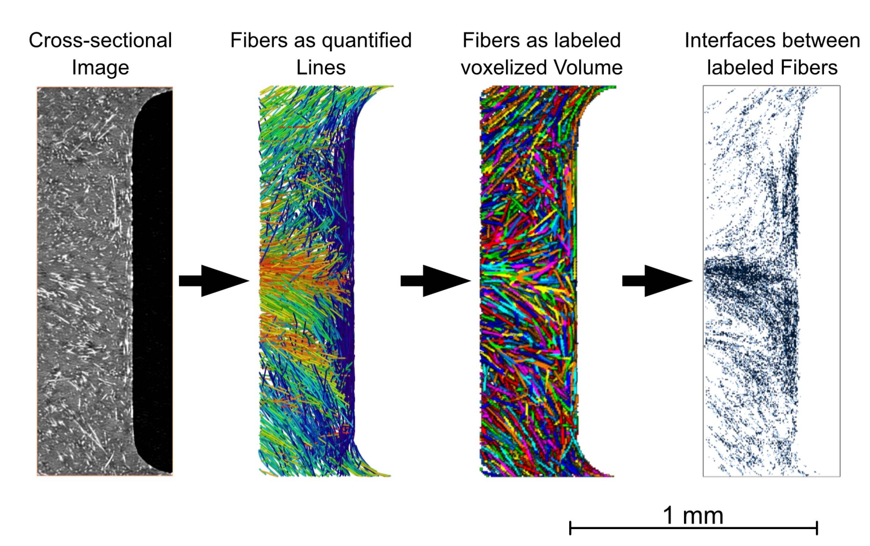 Polymers 14 02805 g004