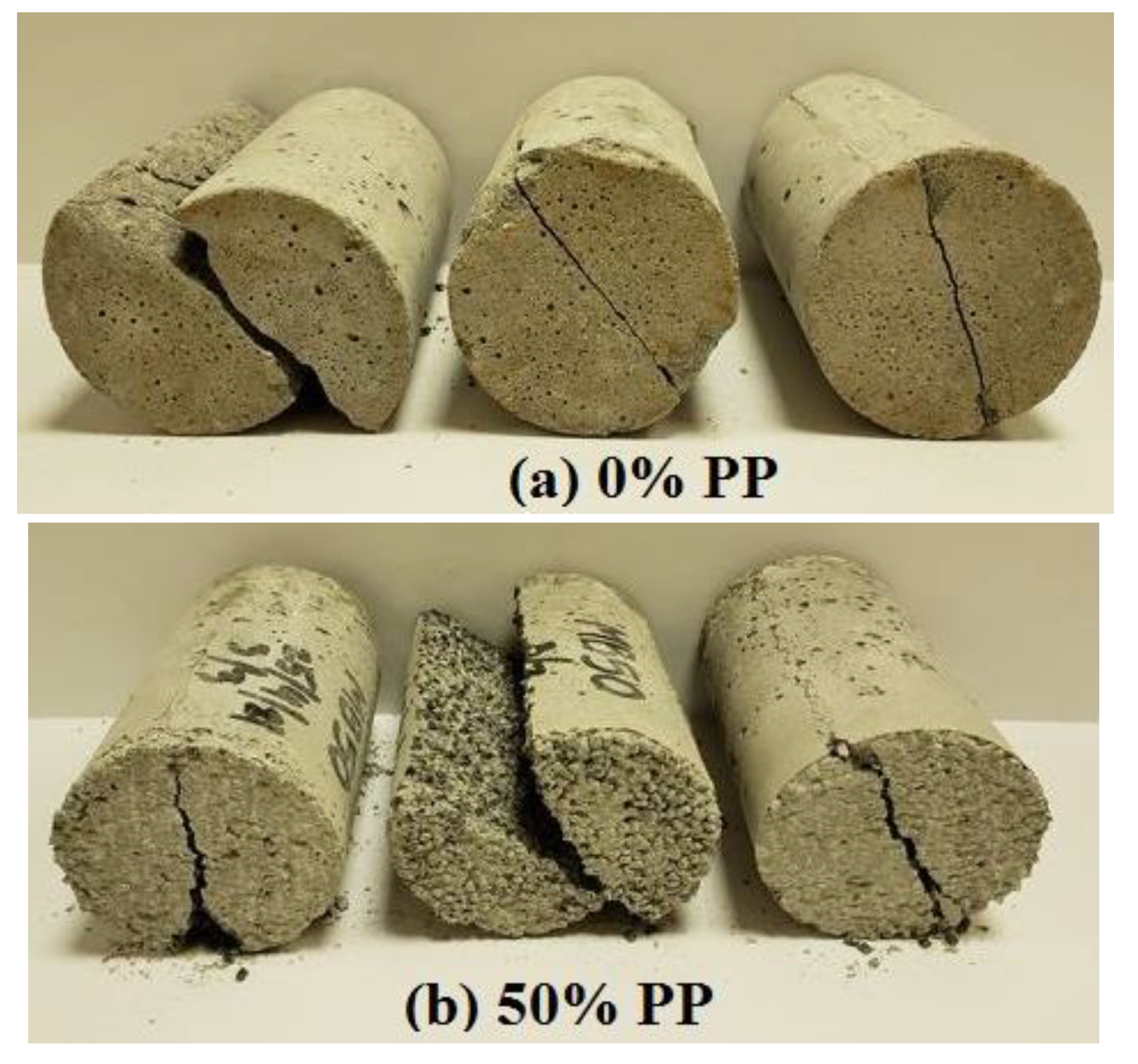 Polymers 14 02806 g009