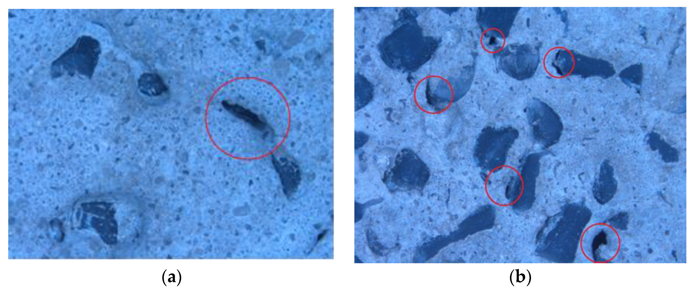 Polymers 14 02806 g010