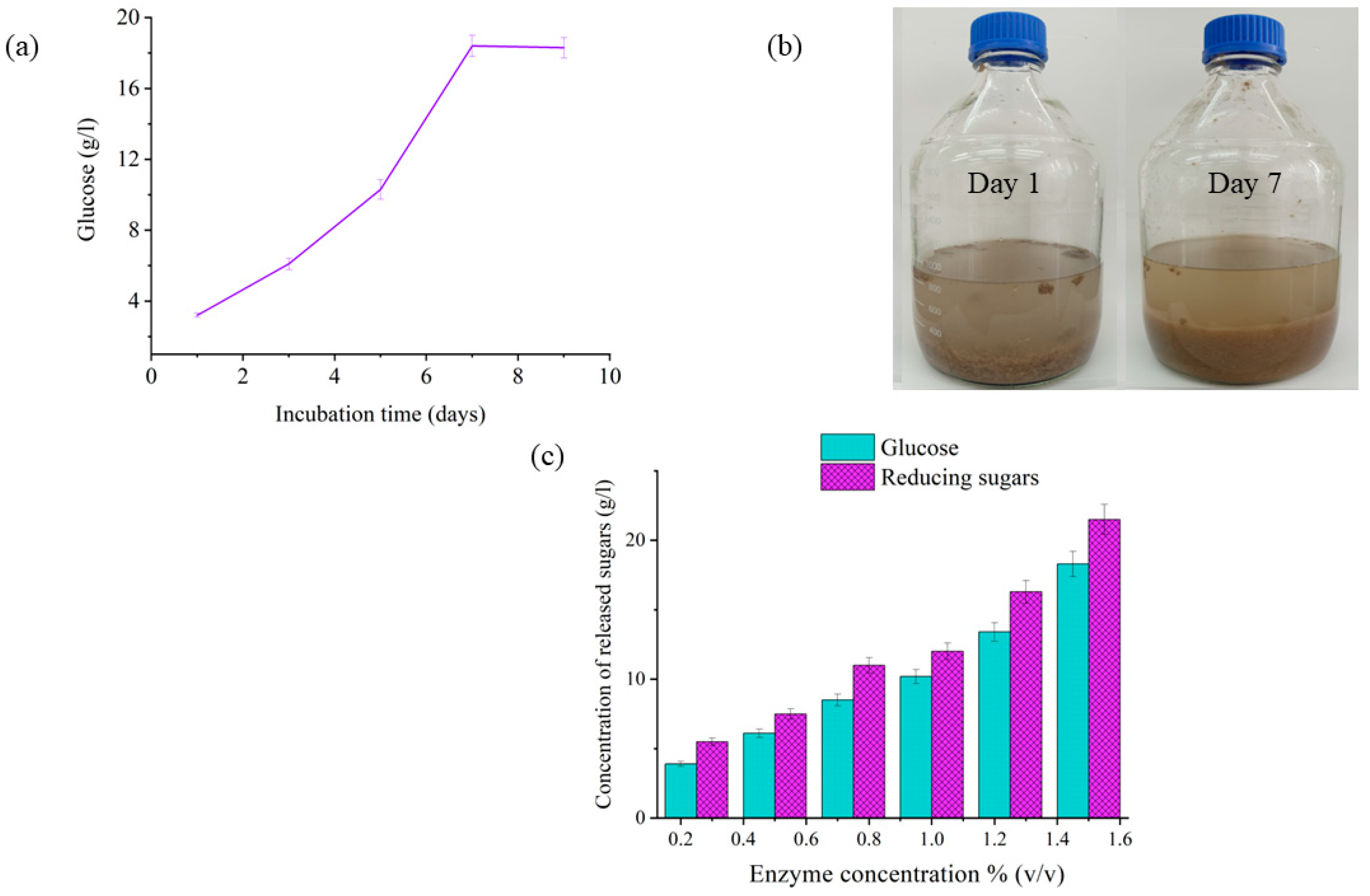 Polymers 14 02810 g001