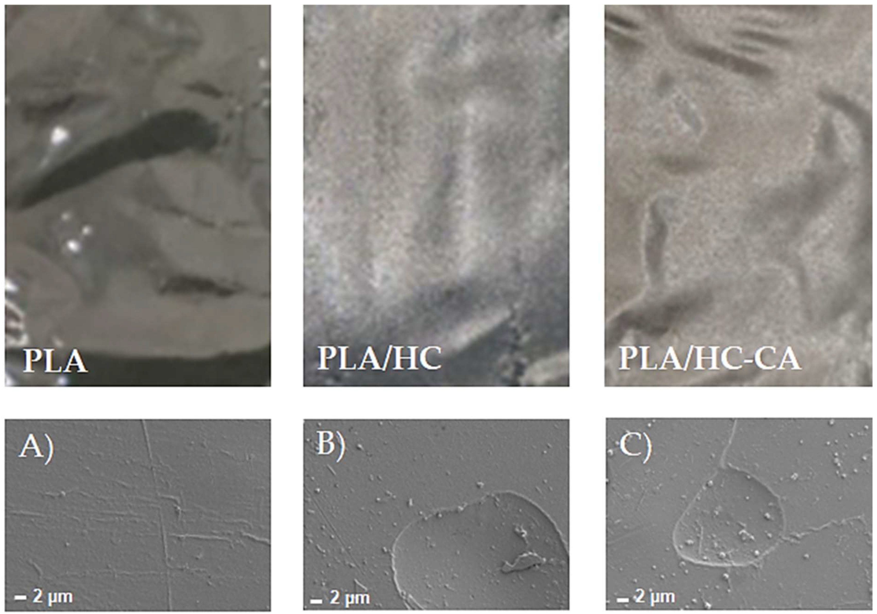 Polymers 14 02816 g008