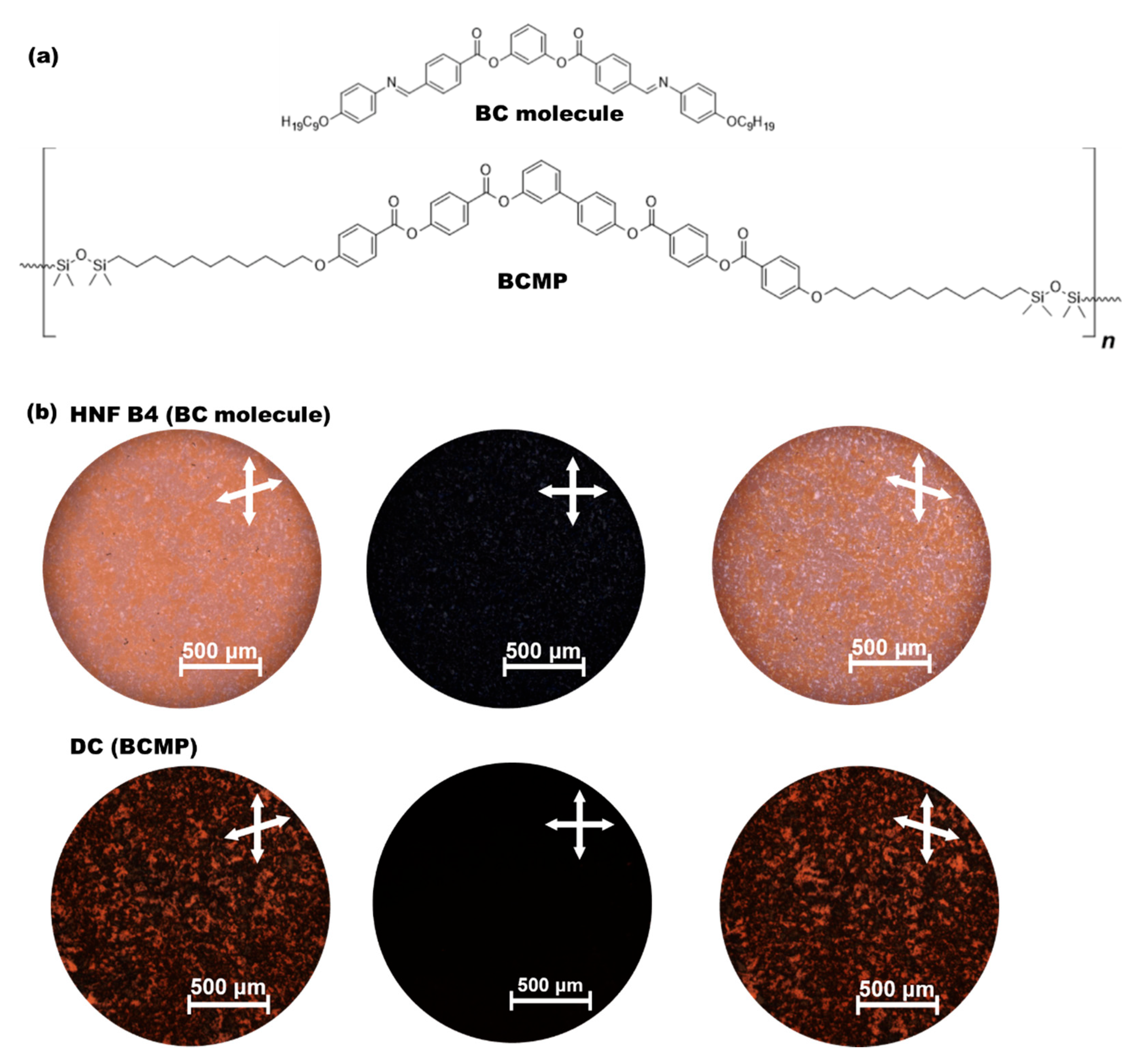 Polymers 14 02823 g001