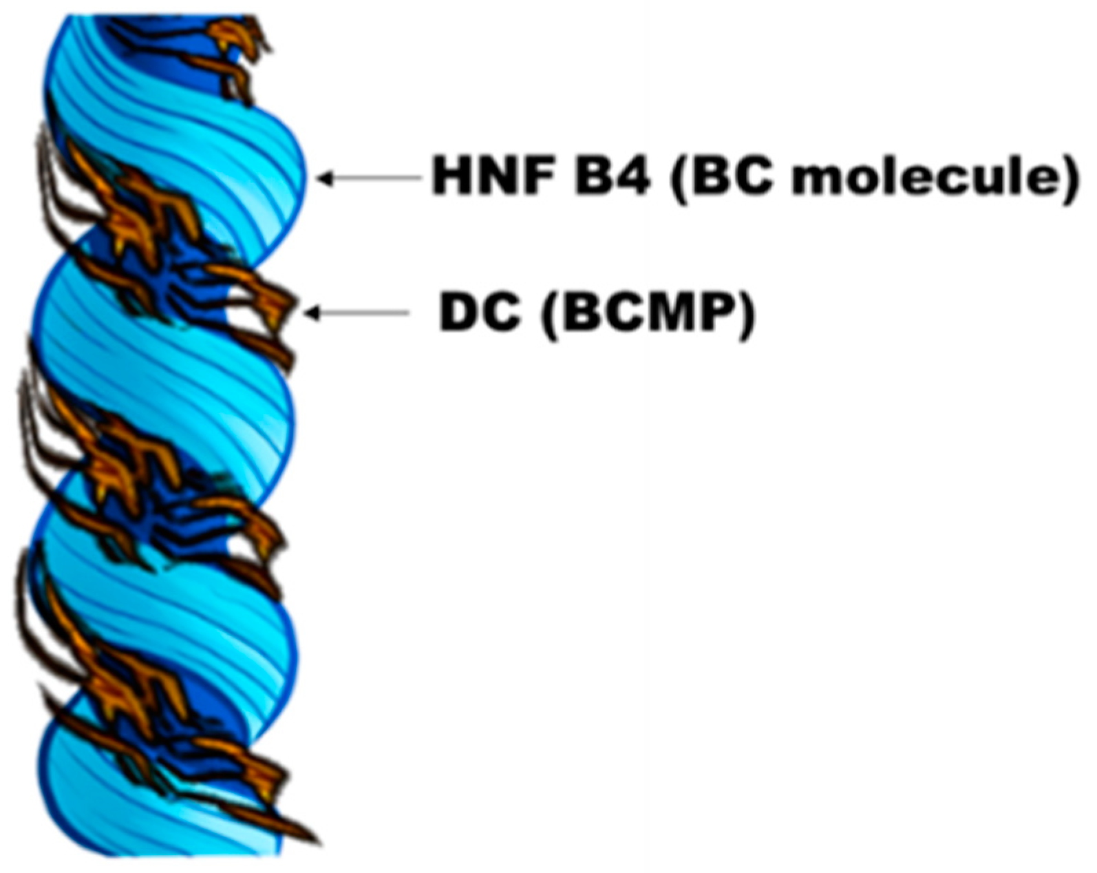 Polymers 14 02823 g007