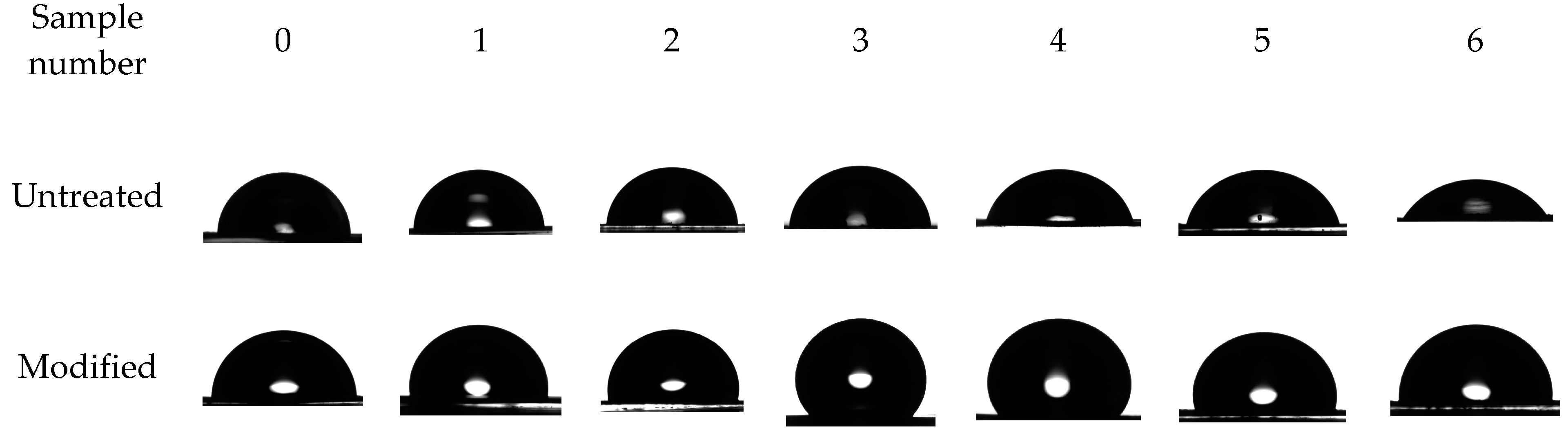 Polymers 14 02829 g007