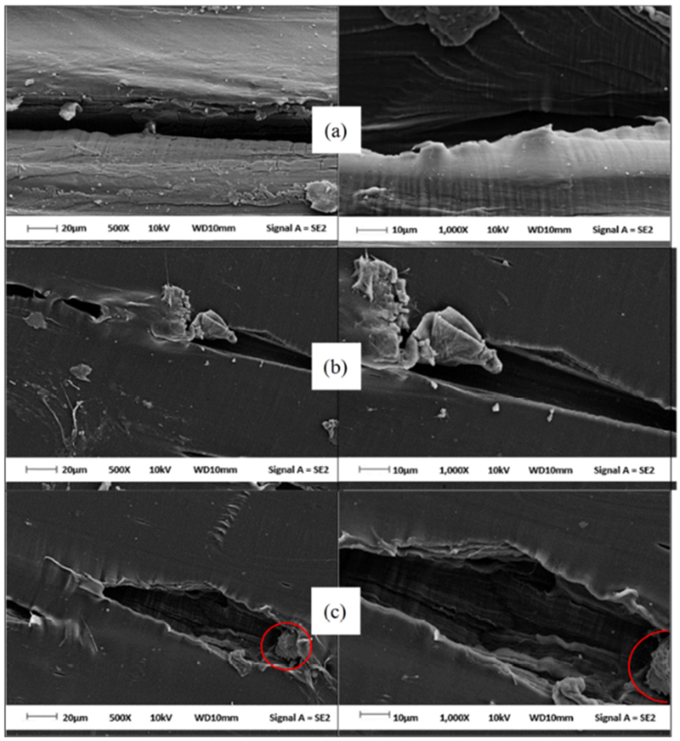 Polymers 14 02843 g012 Polymers 14 02843 g012