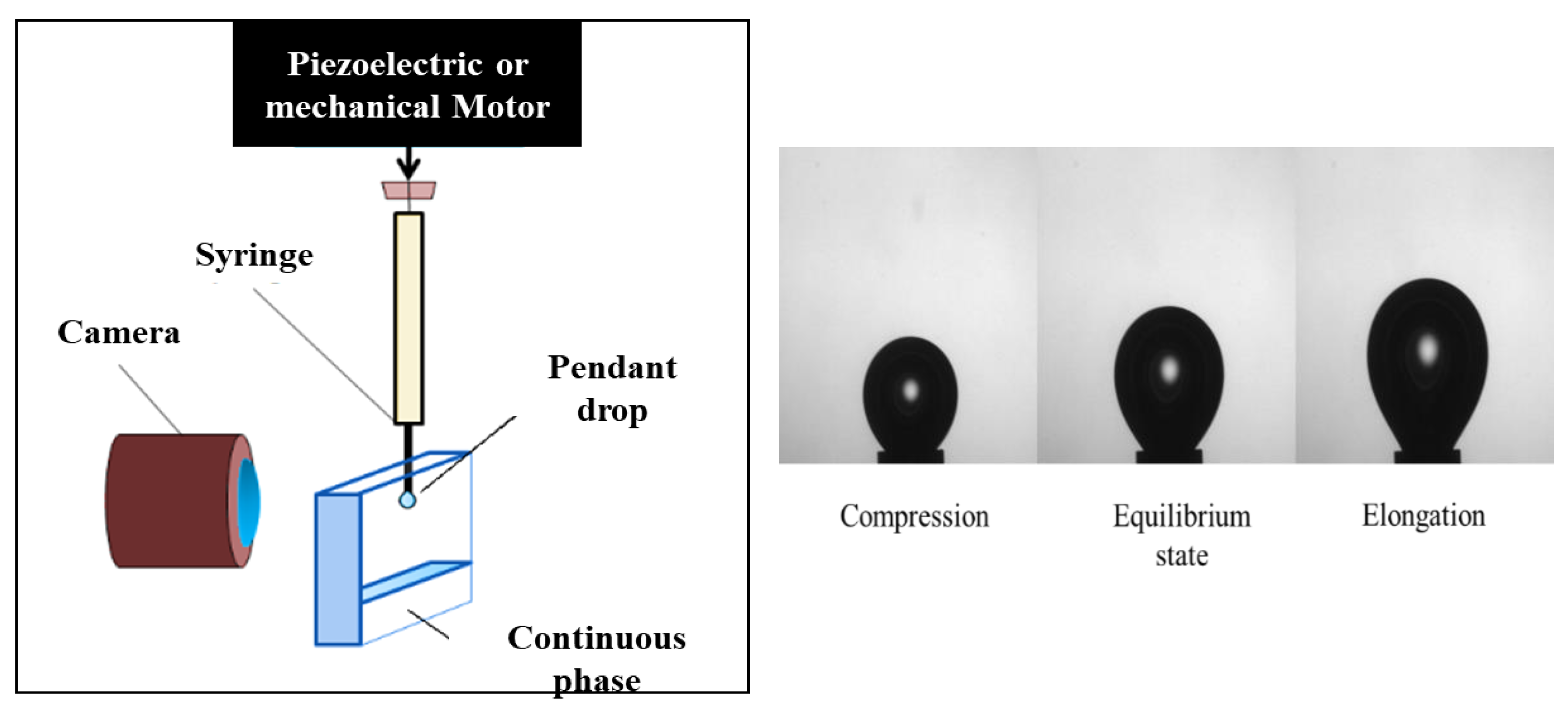 Polymers Free FullText Recent Advances in the Interfacial Shear