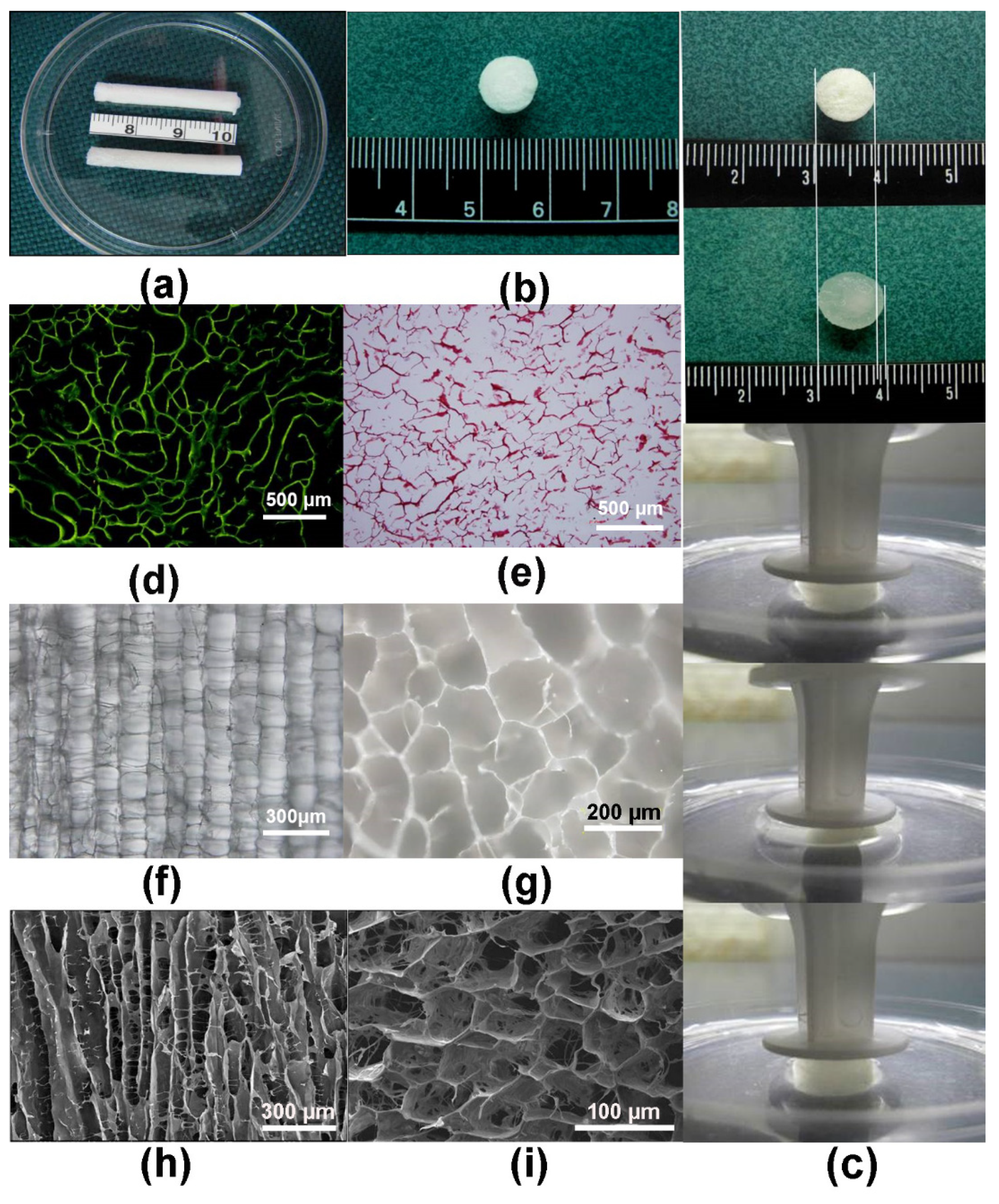 Polymers 14 02848 g002