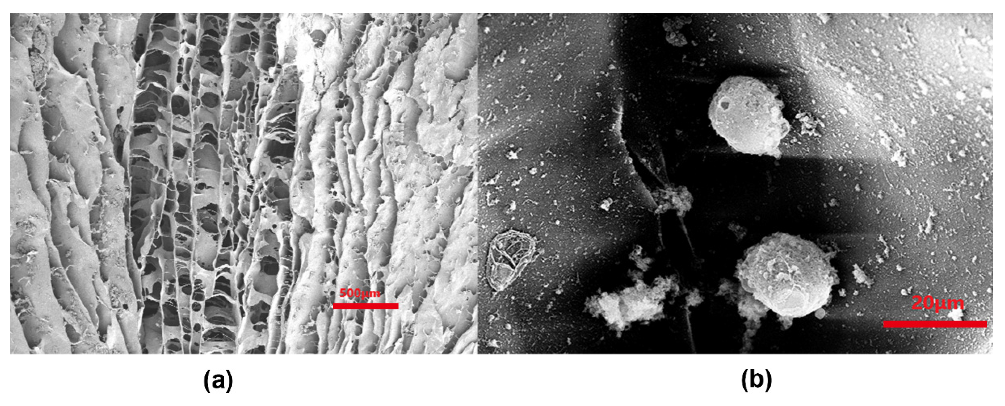Polymers 14 02848 g005