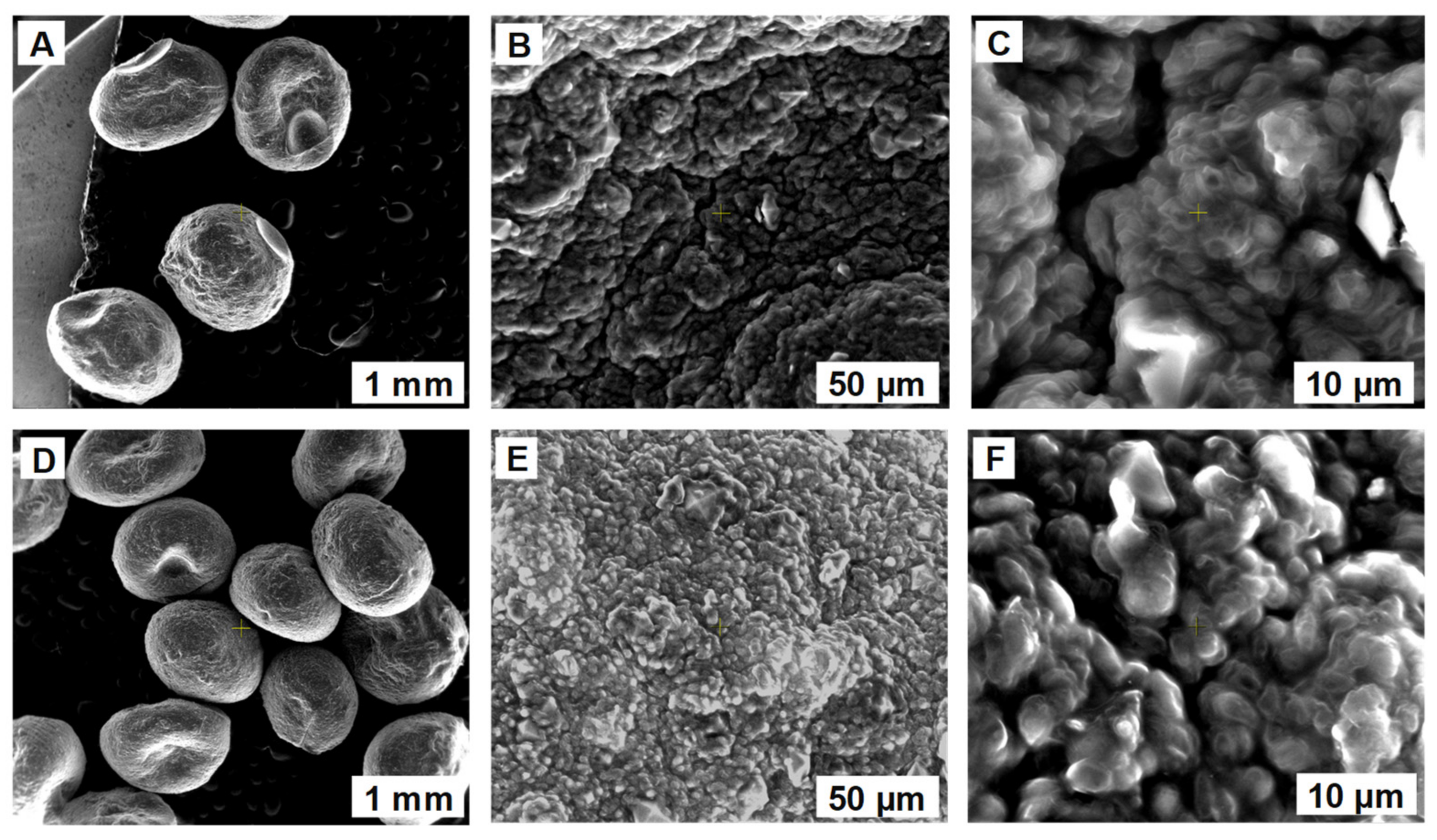 Polymers 14 02855 g003