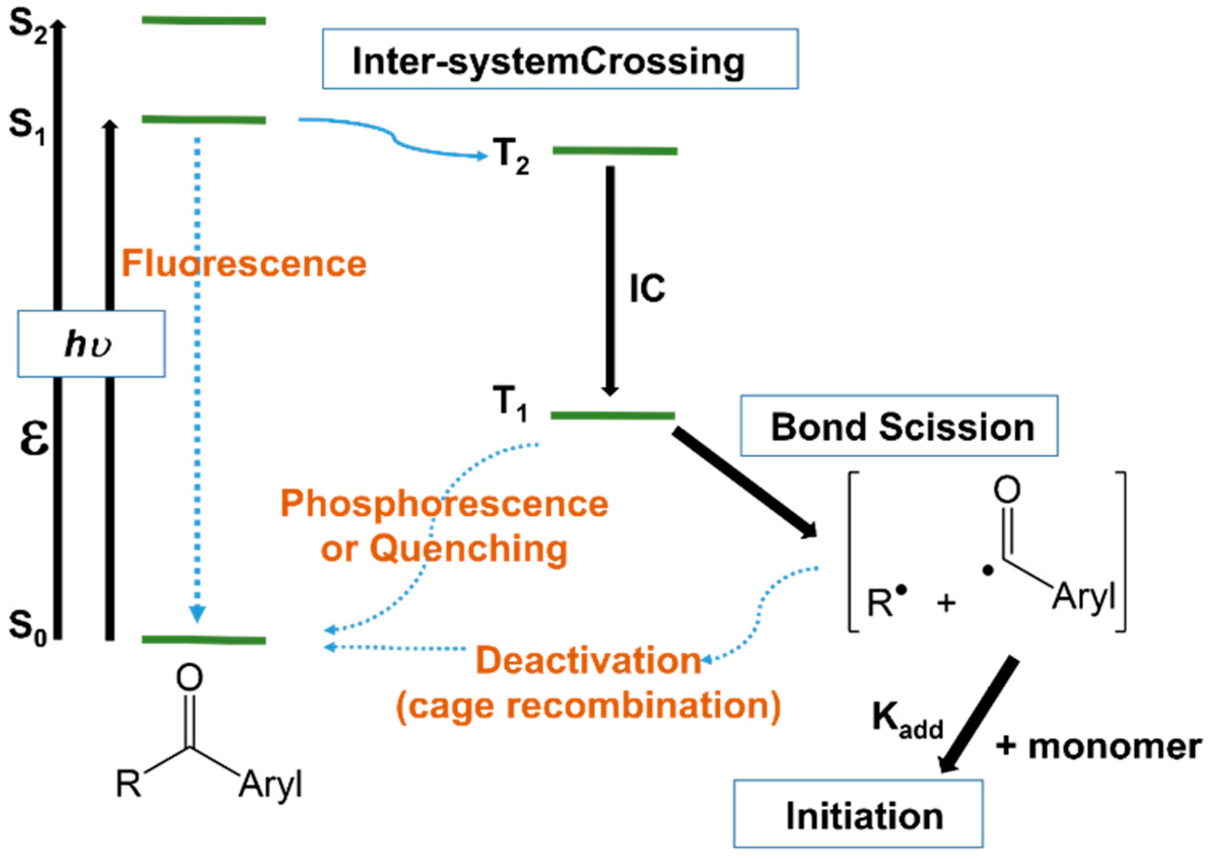 Polymers 14 02856 g003