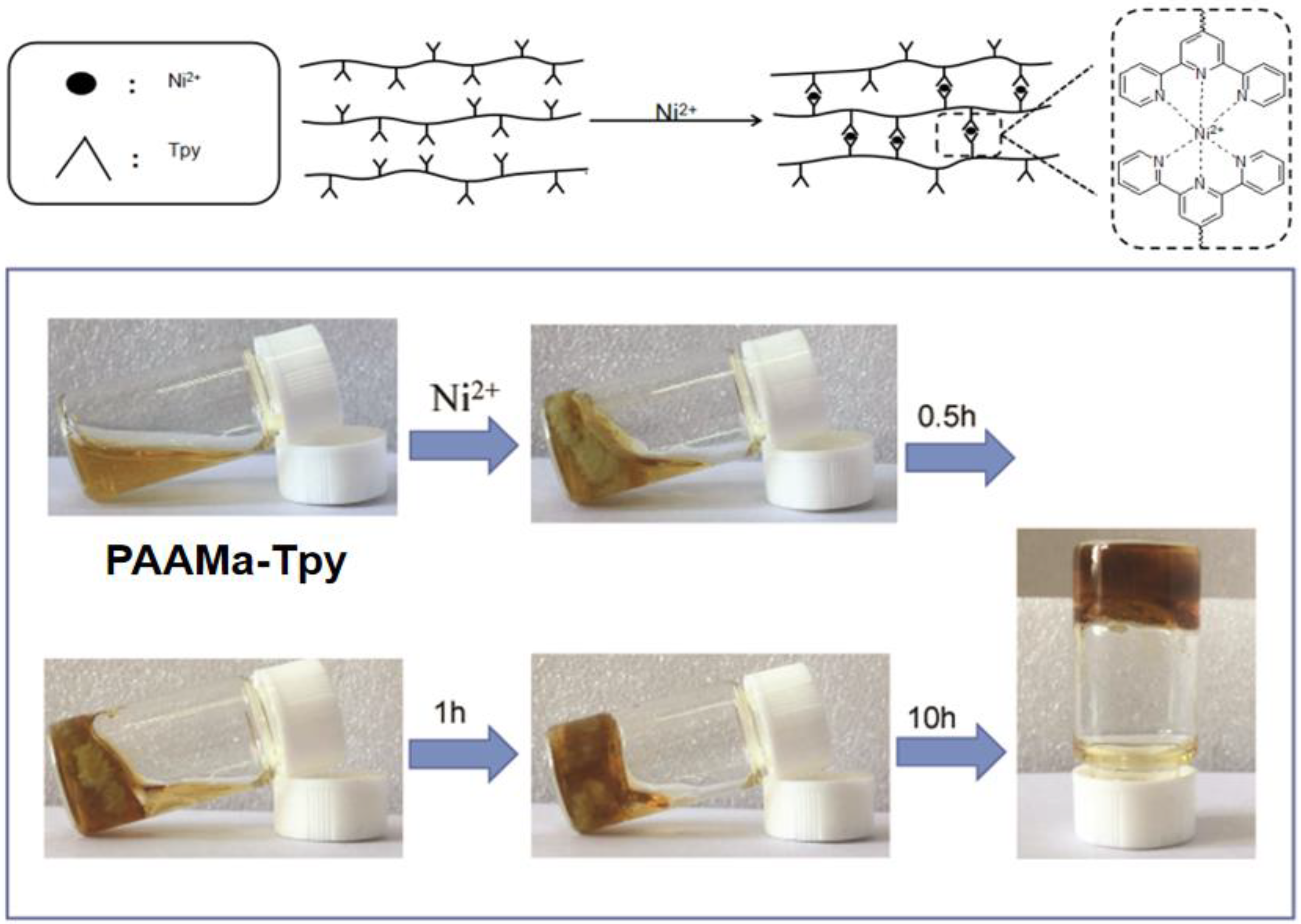 Polymers 14 02857 g004