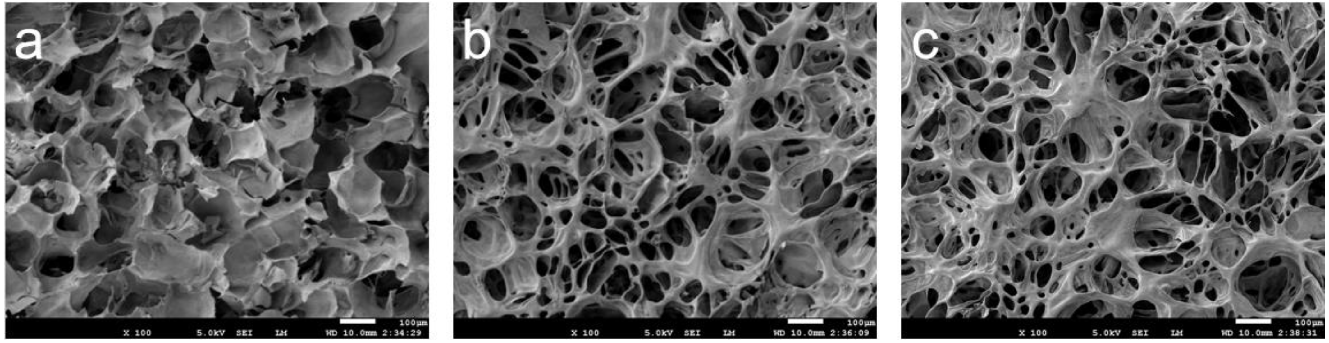 Polymers 14 02857 g005