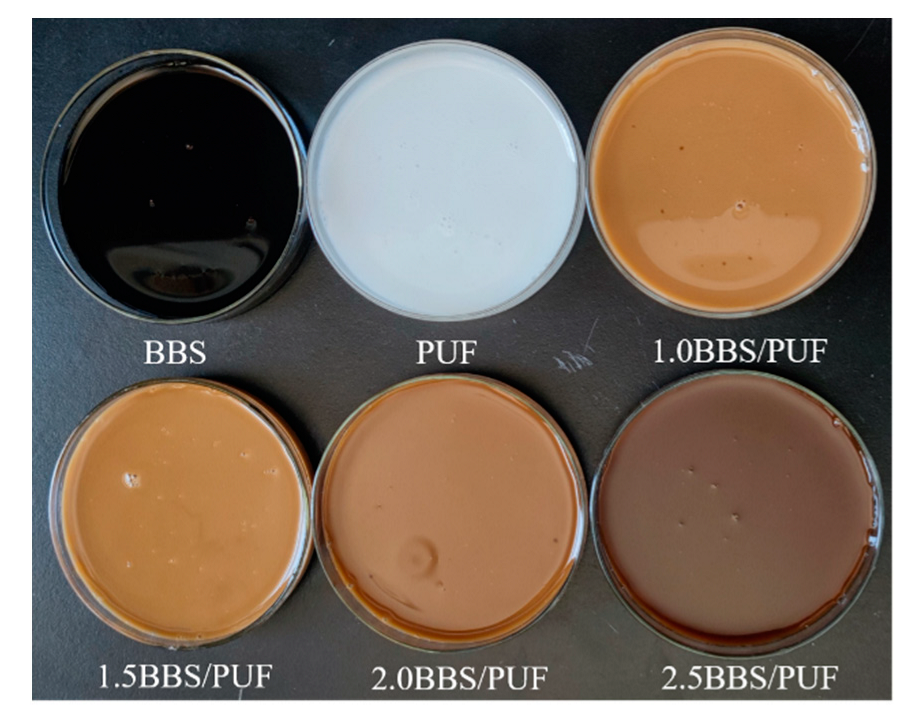 Polymers Free FullText Biodegradable Films Prepared from Pulp