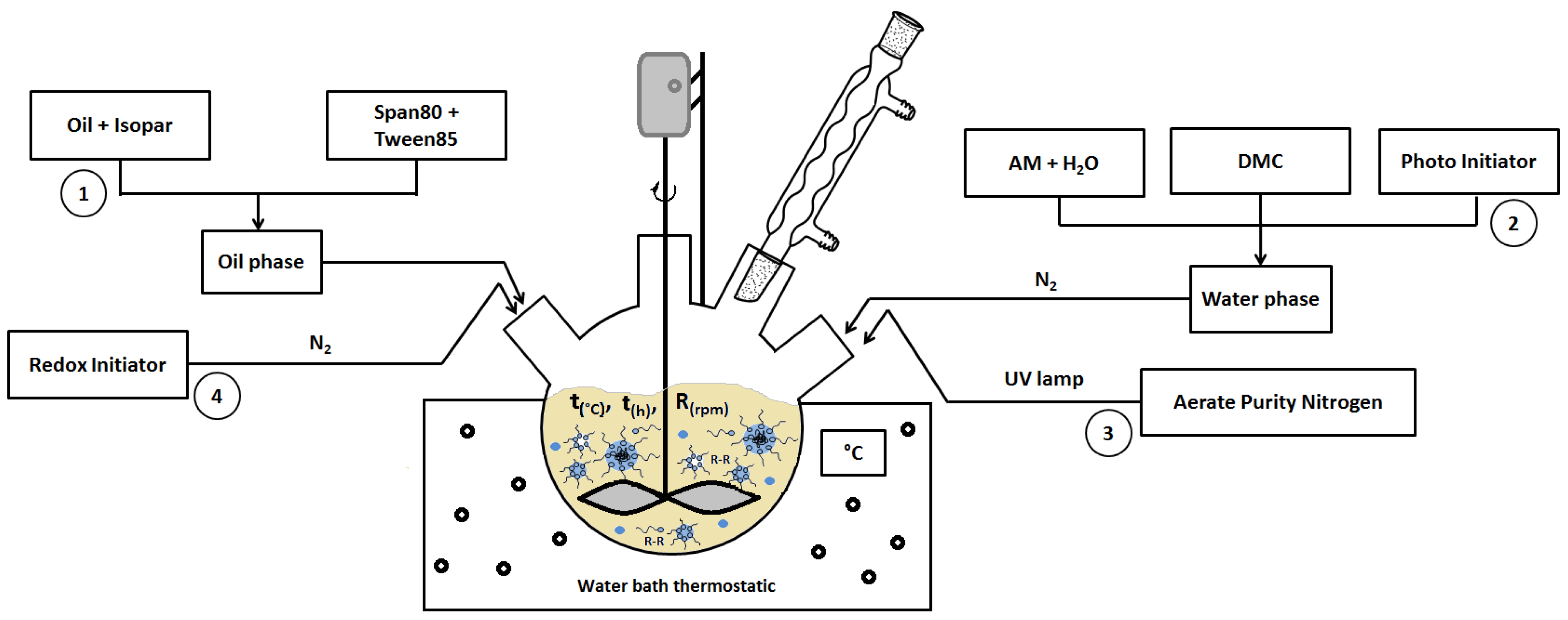 Polymers 14 02866 g002