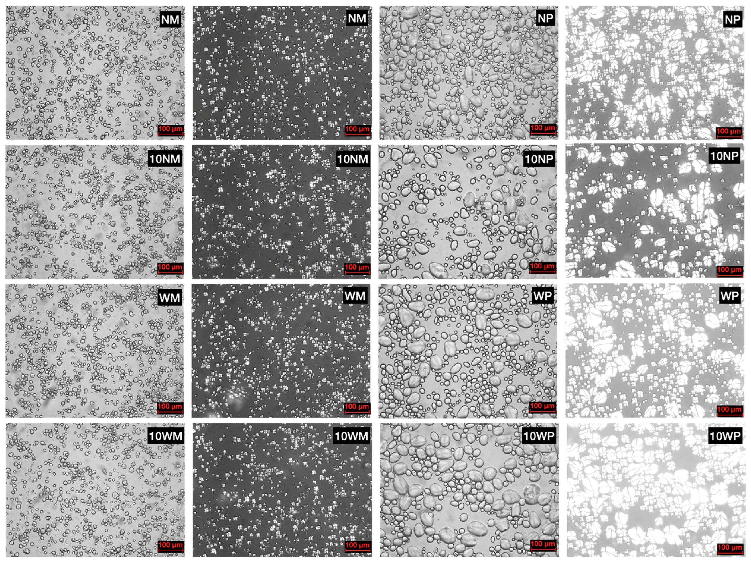 Polymers 14 02870 g003