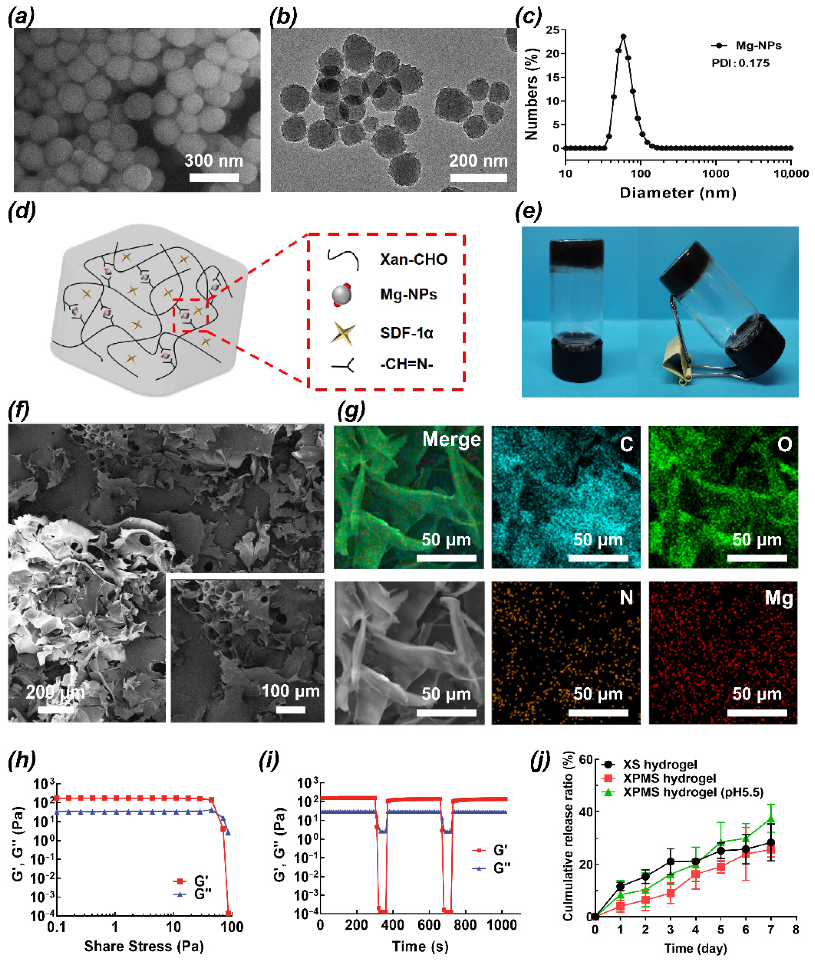 Polymers 14 02872 g001