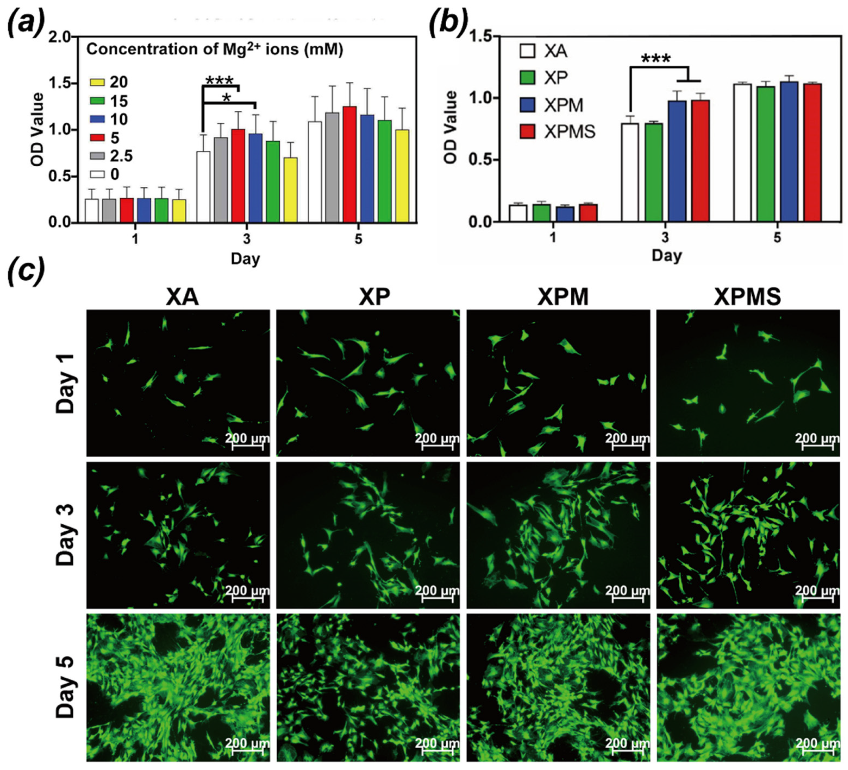 Polymers 14 02872 g003