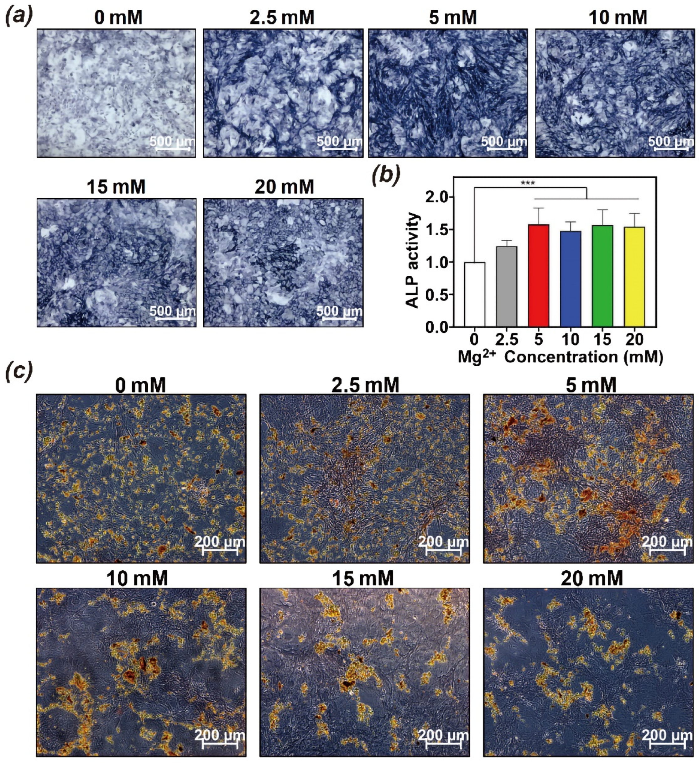 Polymers 14 02872 g004