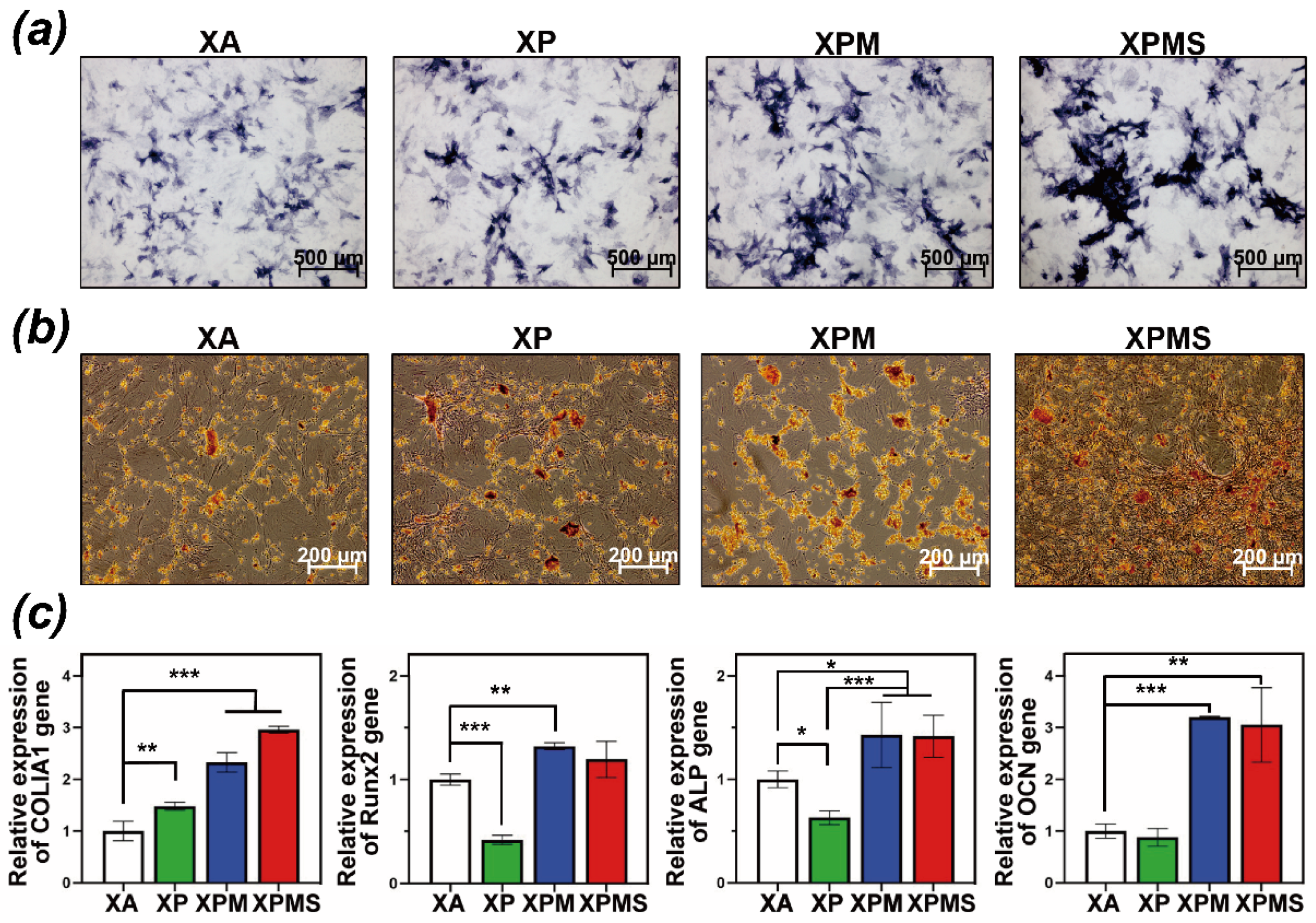 Polymers 14 02872 g005