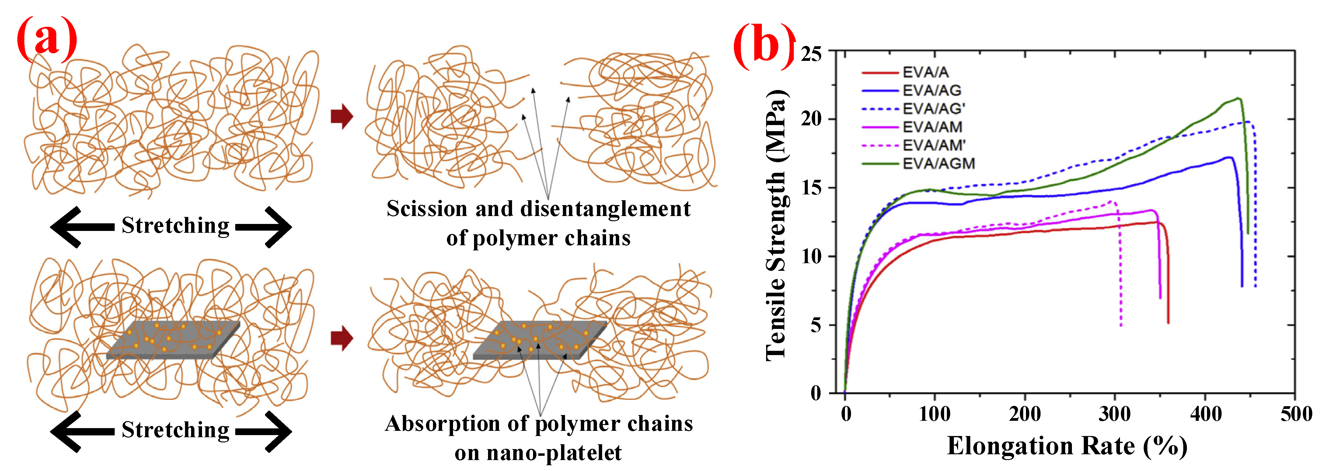 Polymers 14 02876 g005 Polymers 14 02876 g005
