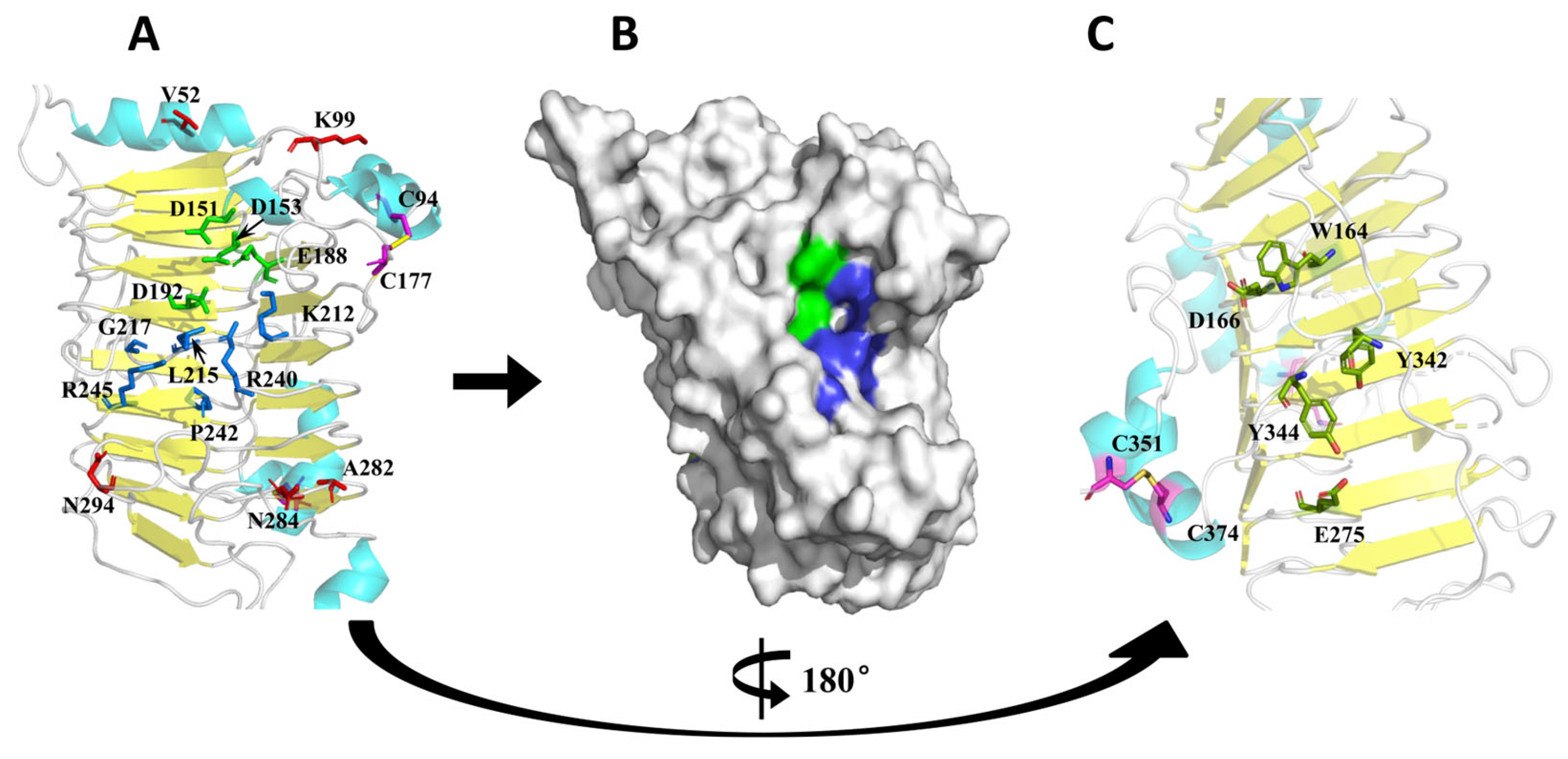 Polymers 14 02878 g002