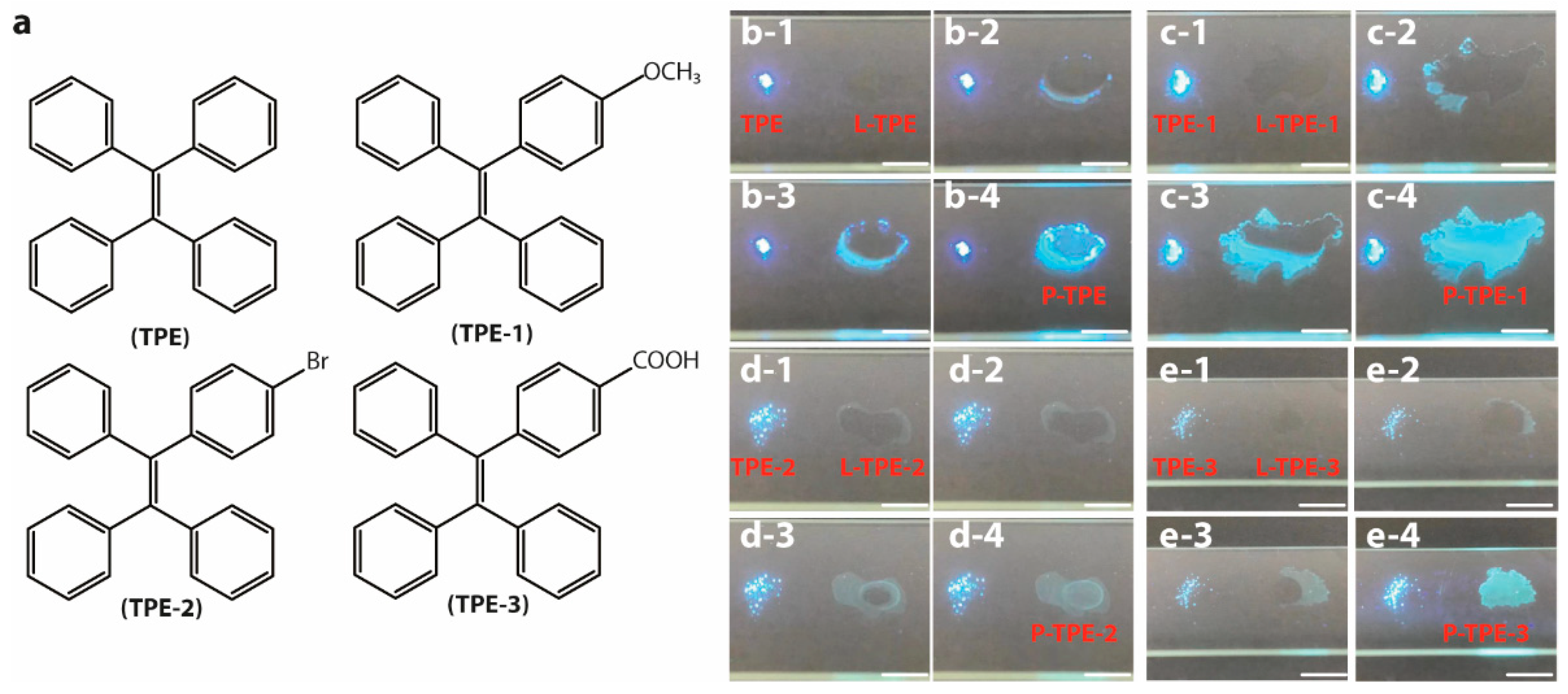 Polymers 14 02880 g001