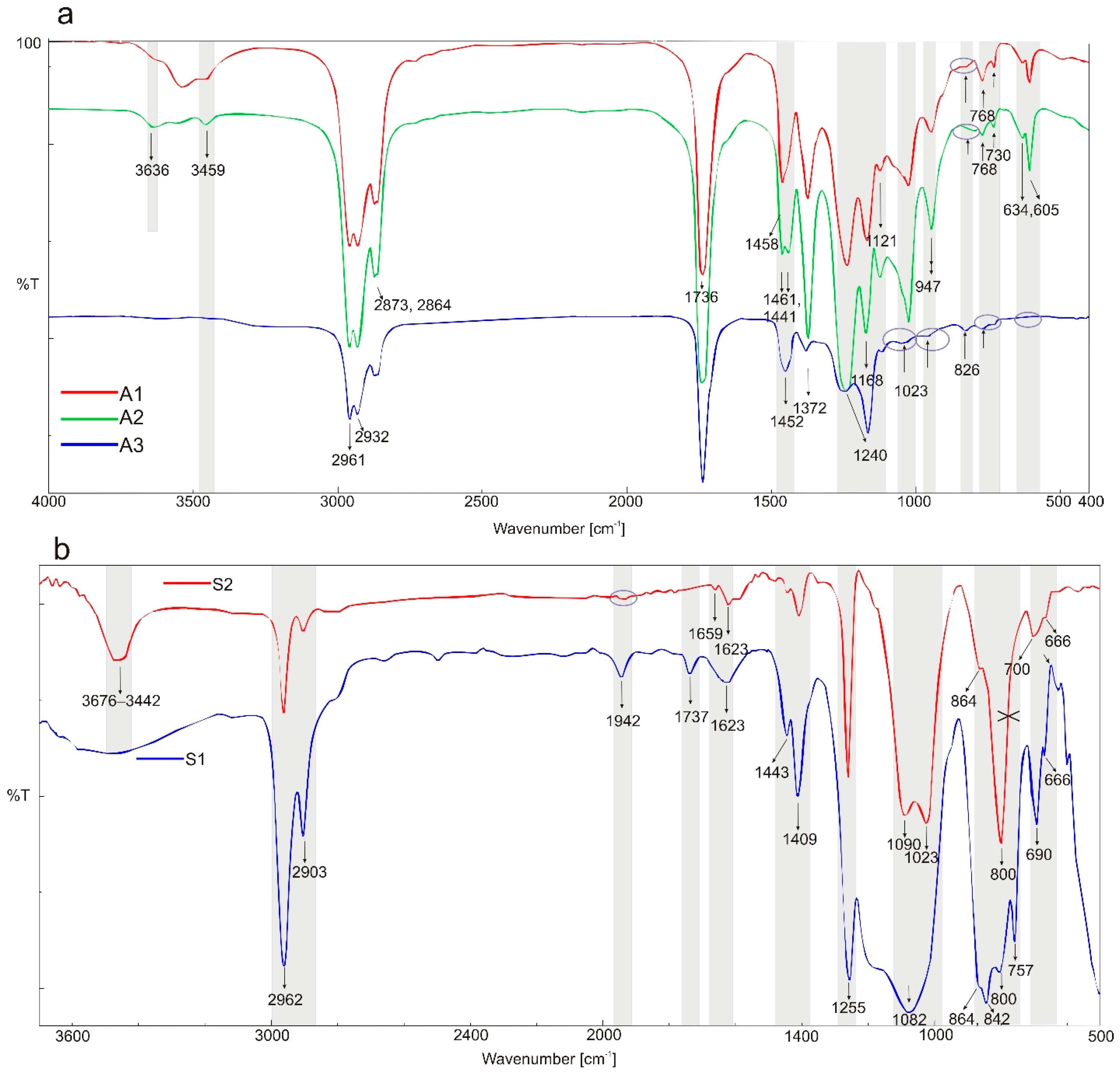 Polymers 14 02888 g001