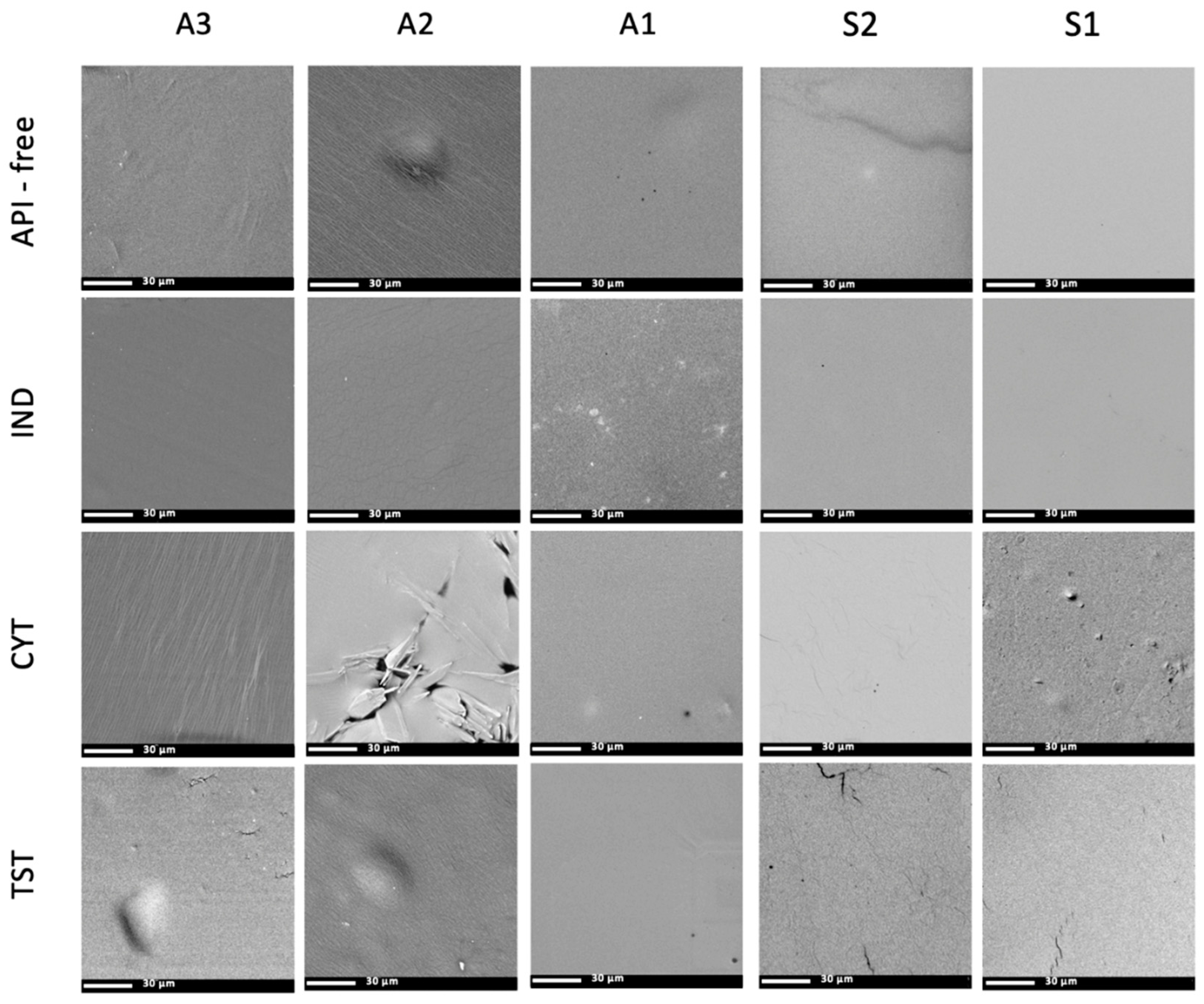 Polymers 14 02888 g005