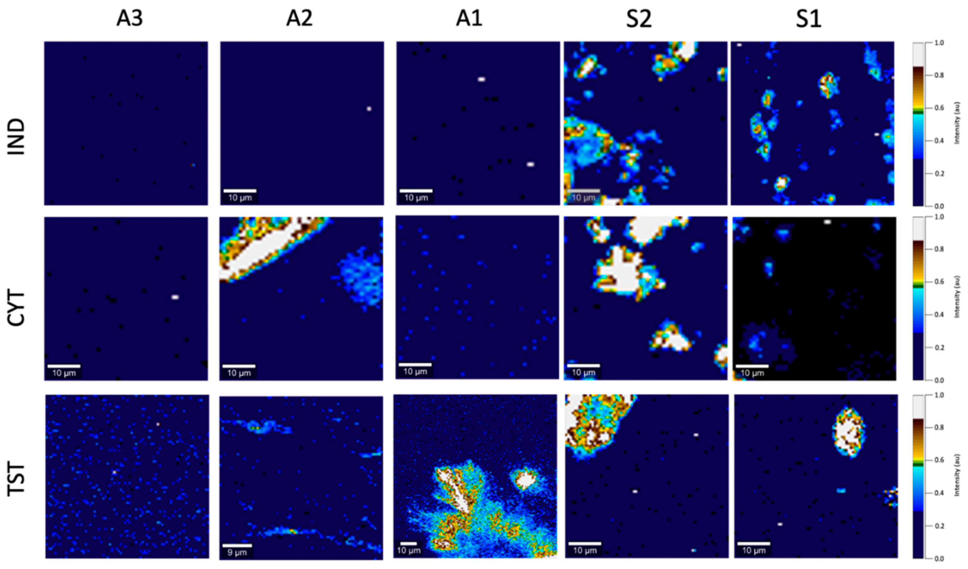 Polymers 14 02888 g006