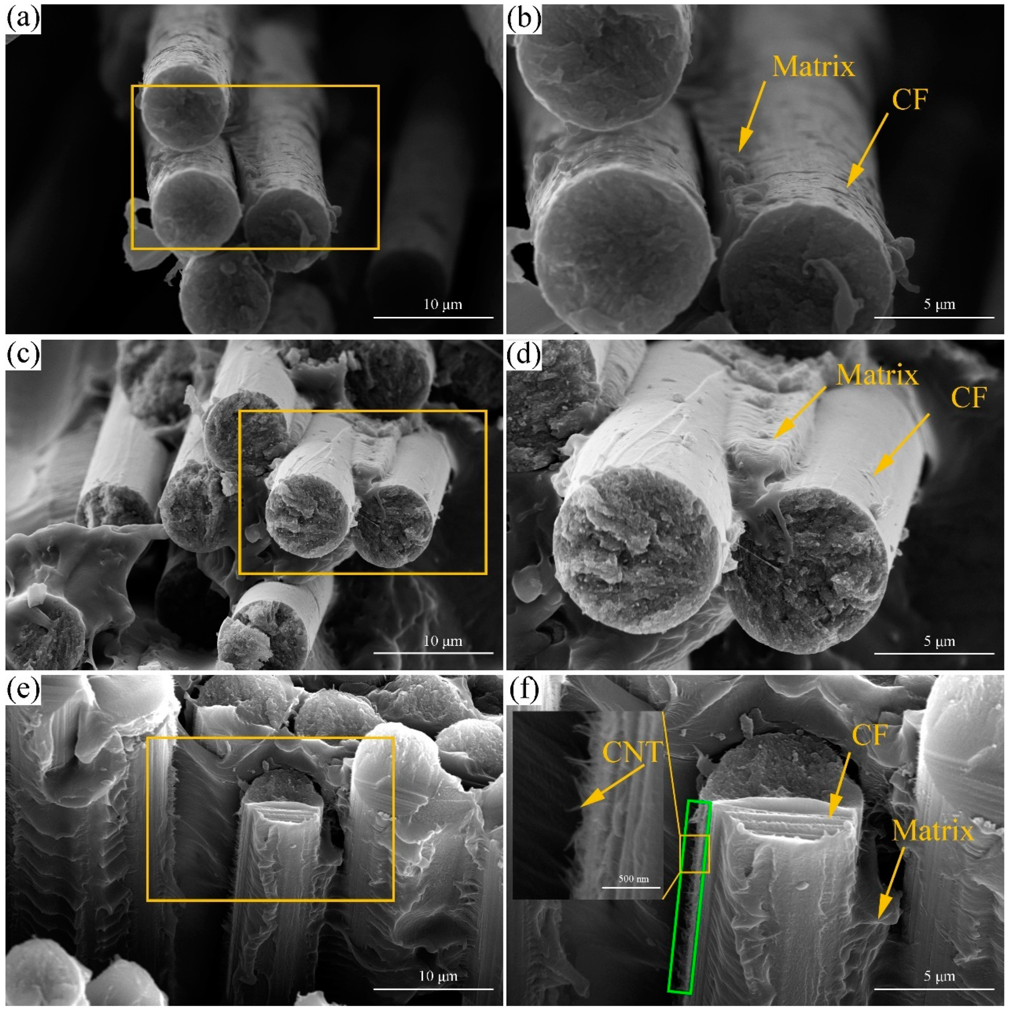 Polymers 14 02892 g006