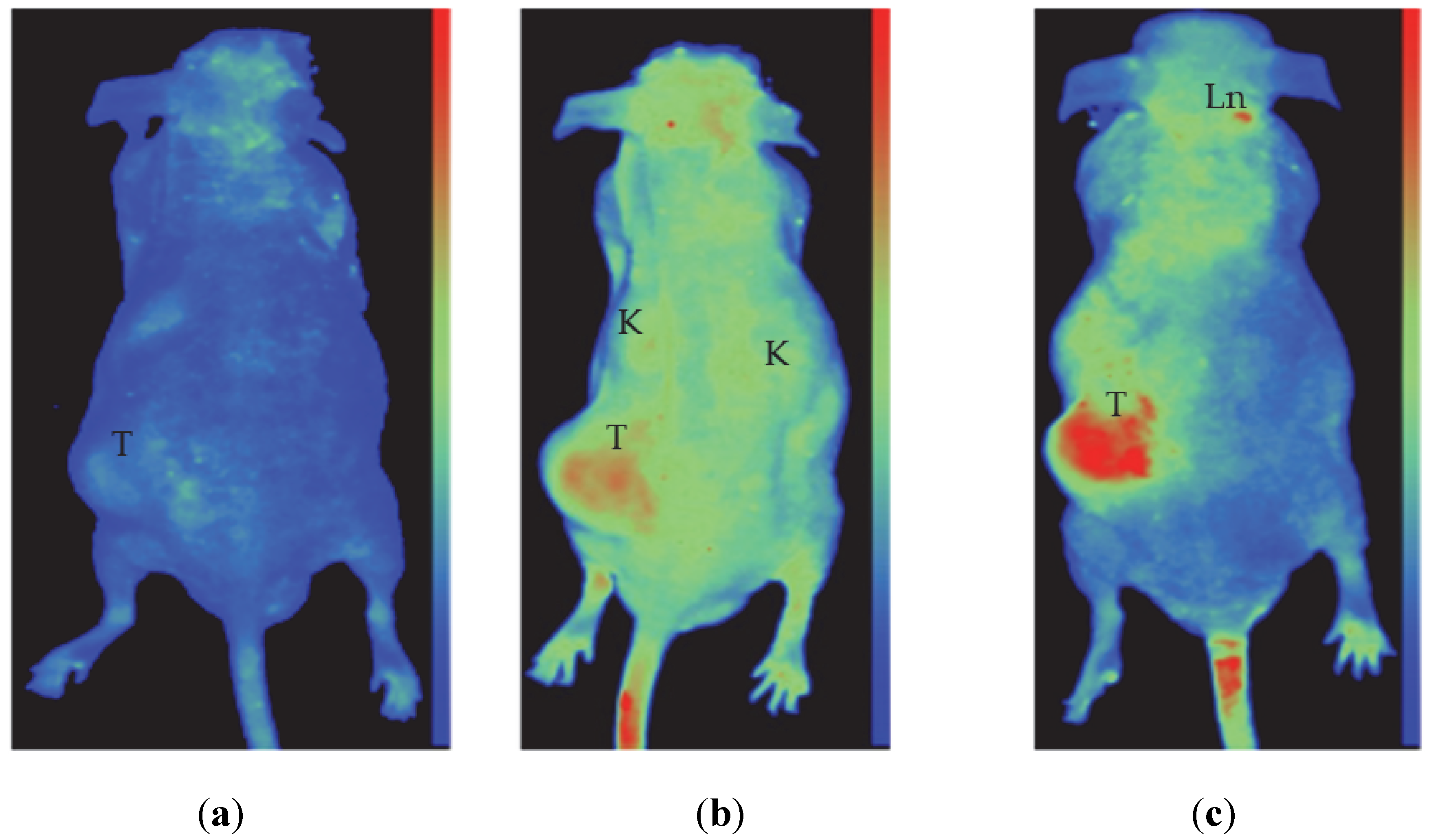 Polymers 14 02900 g009