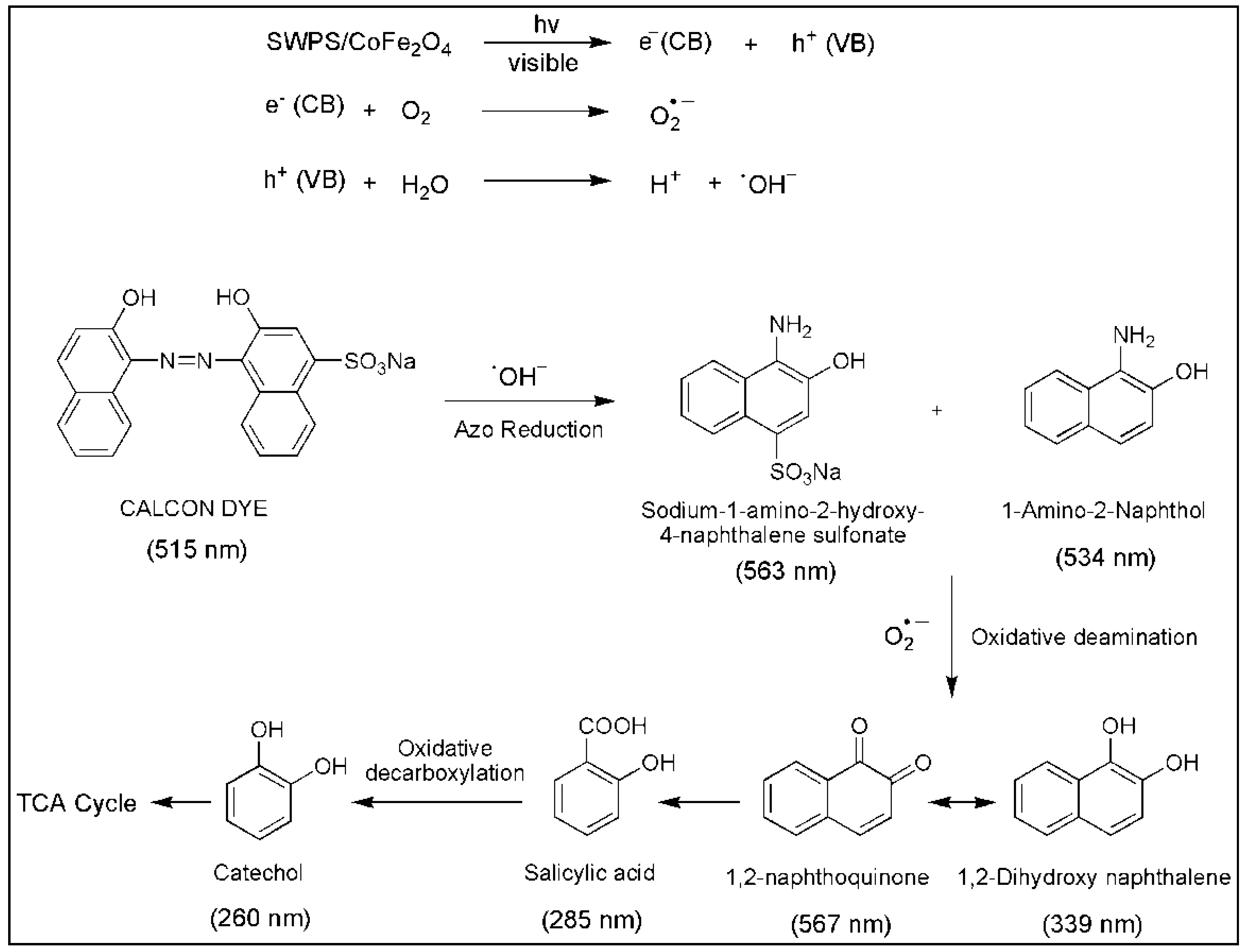 Polymers 14 02909 sch003