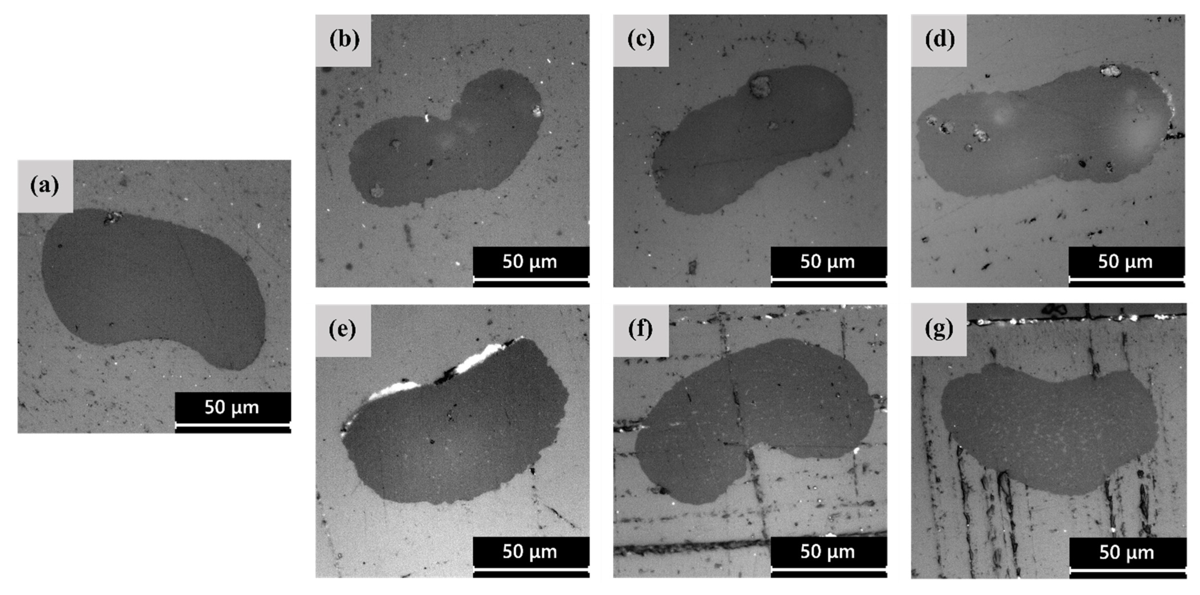 Polymers 14 02910 g002 550