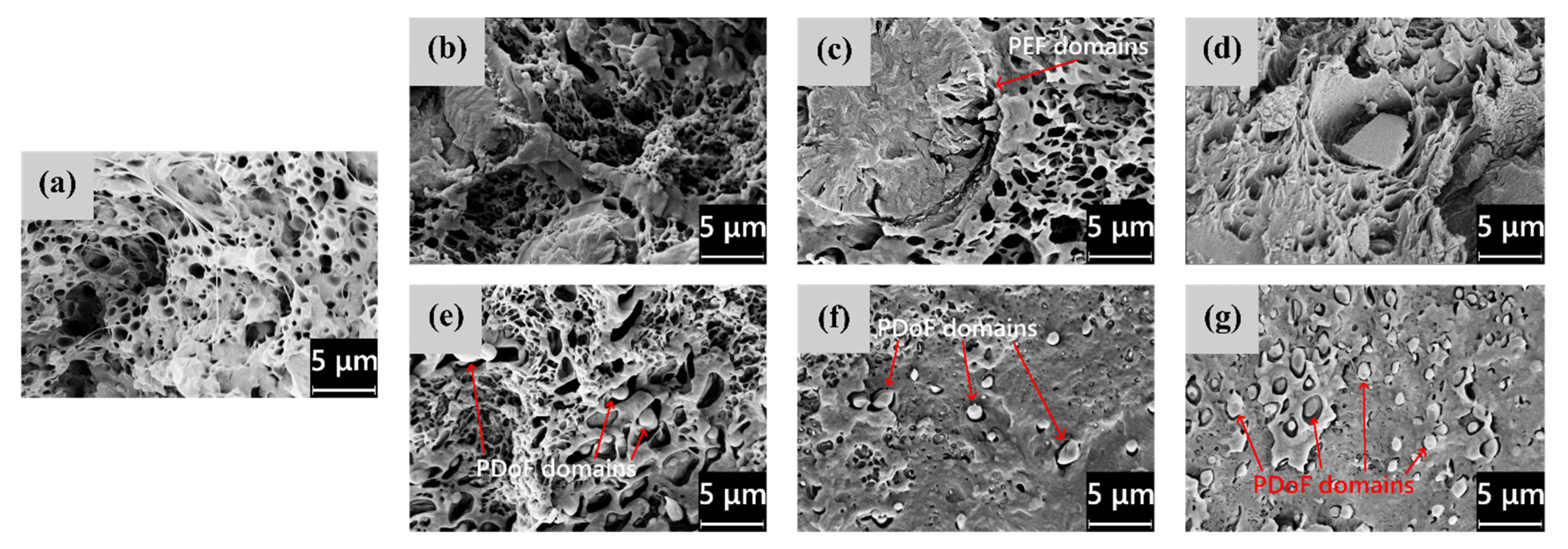 Polymers 14 02910 g003 550