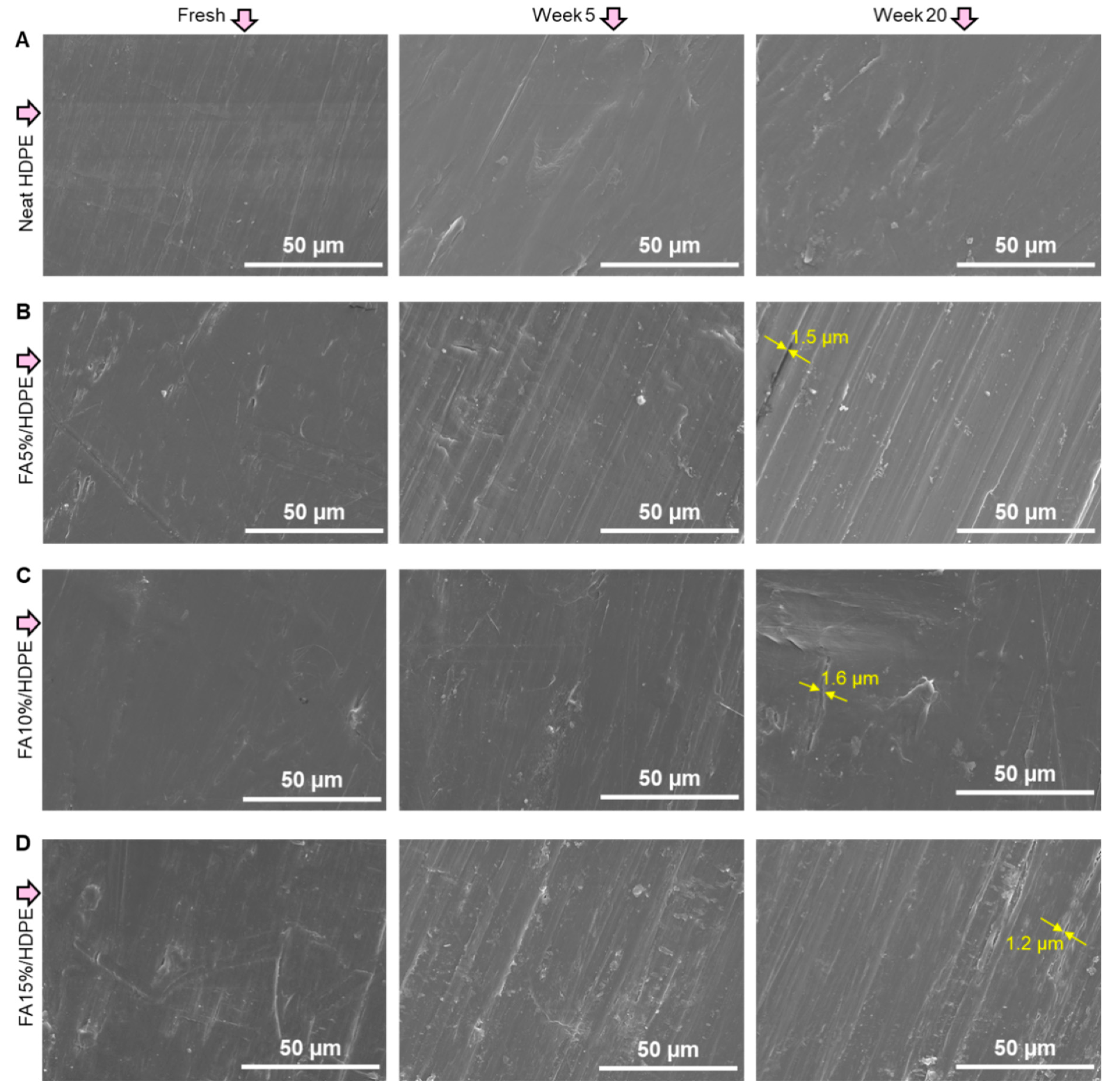 Polymers 14 02913 g002 Polymers 14 02913 g002