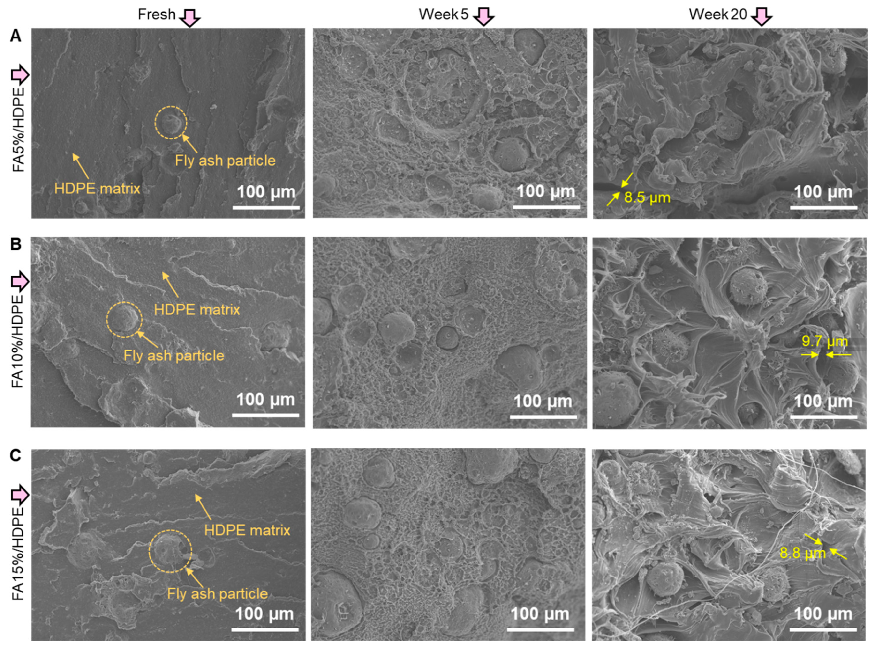 Polymers 14 02913 g004 Polymers 14 02913 g004