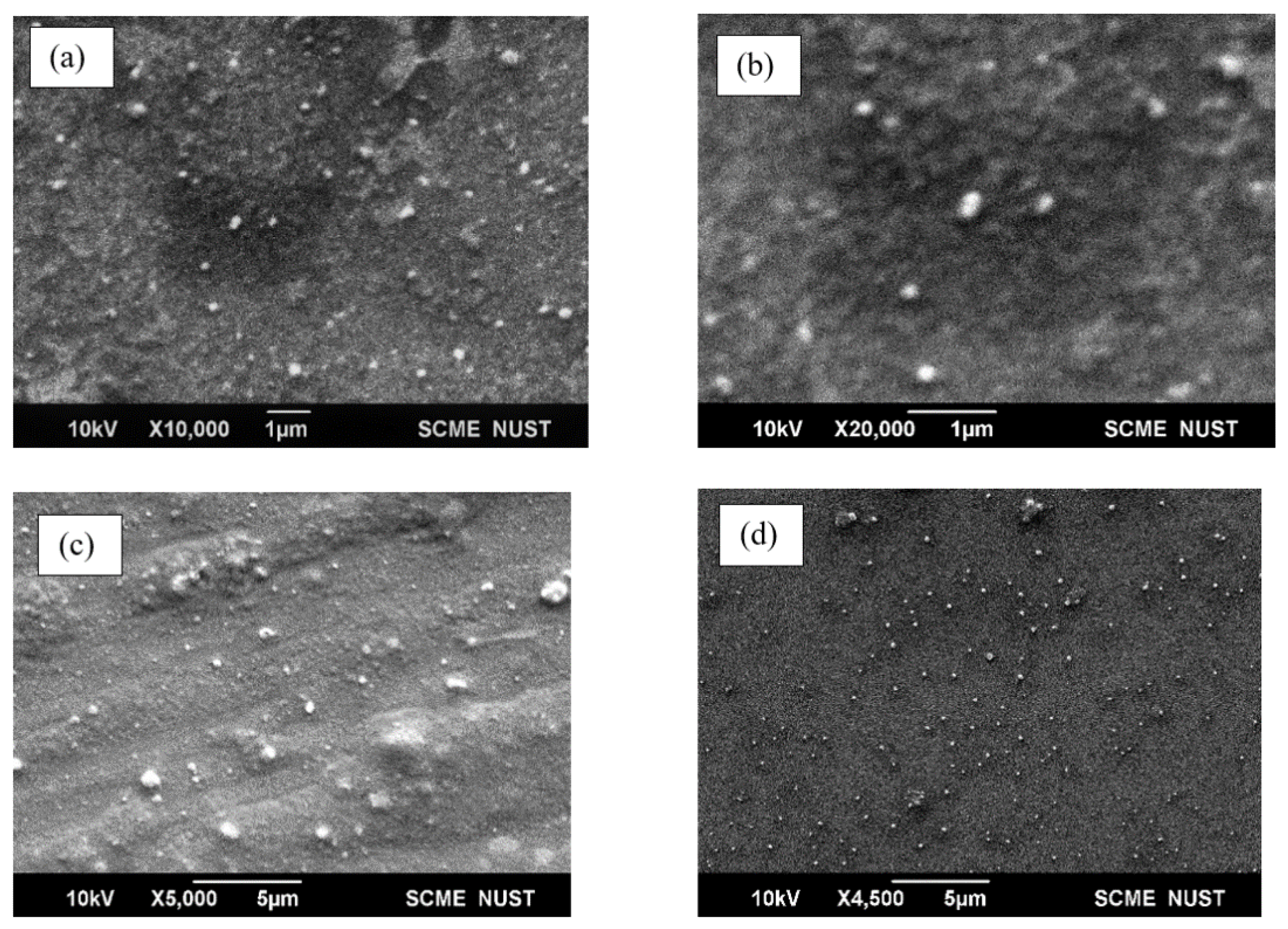 Polymers 14 02915 g005