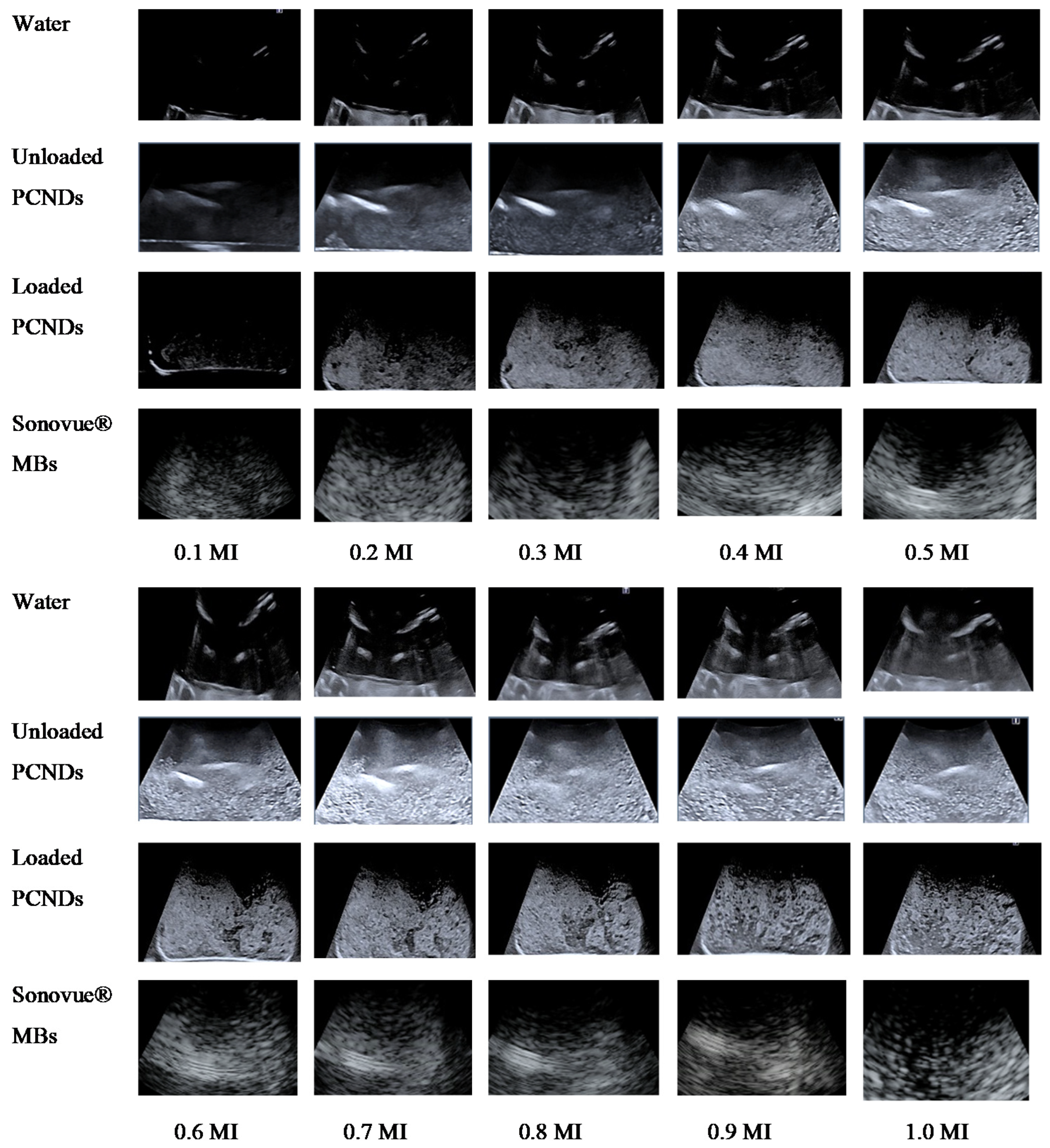 Polymers 14 02915 g010