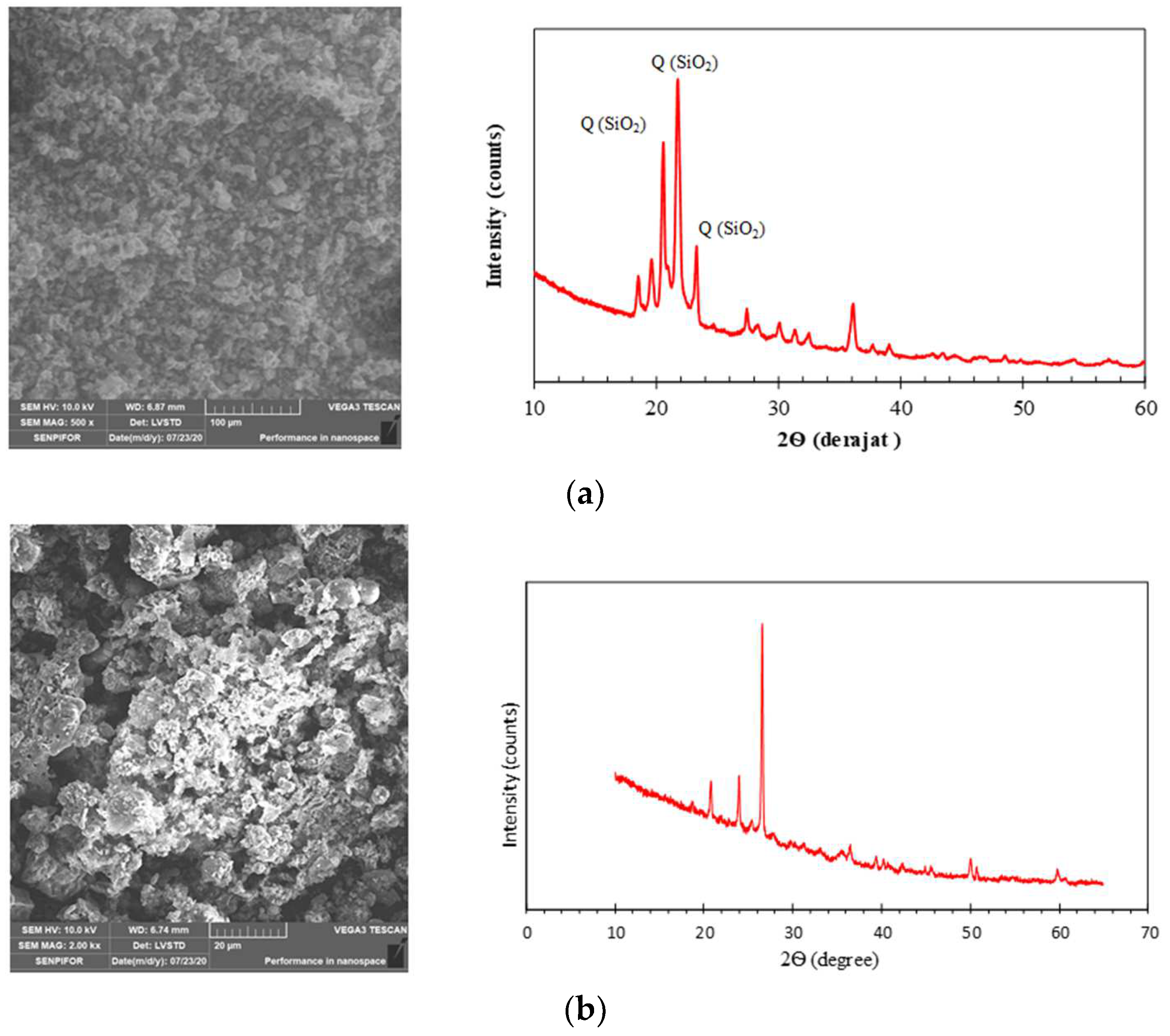 Polymers 14 02920 g001
