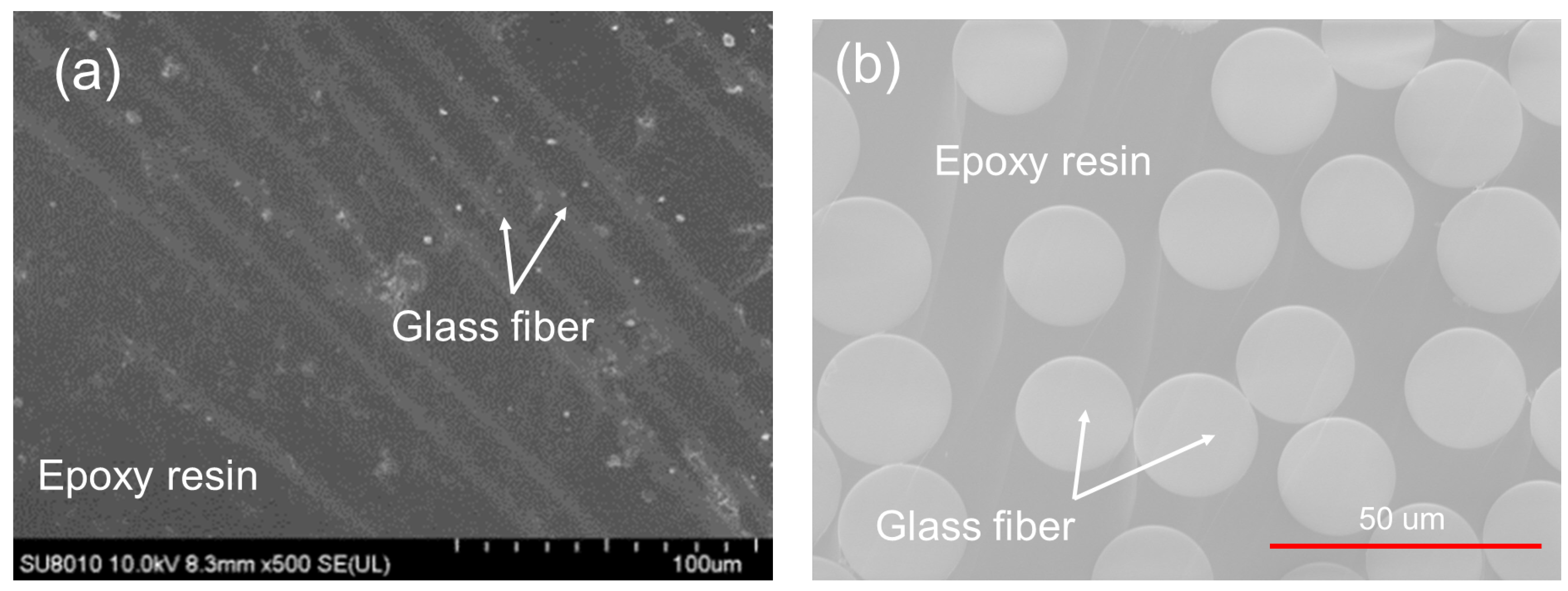 Polymers 14 02922 g002