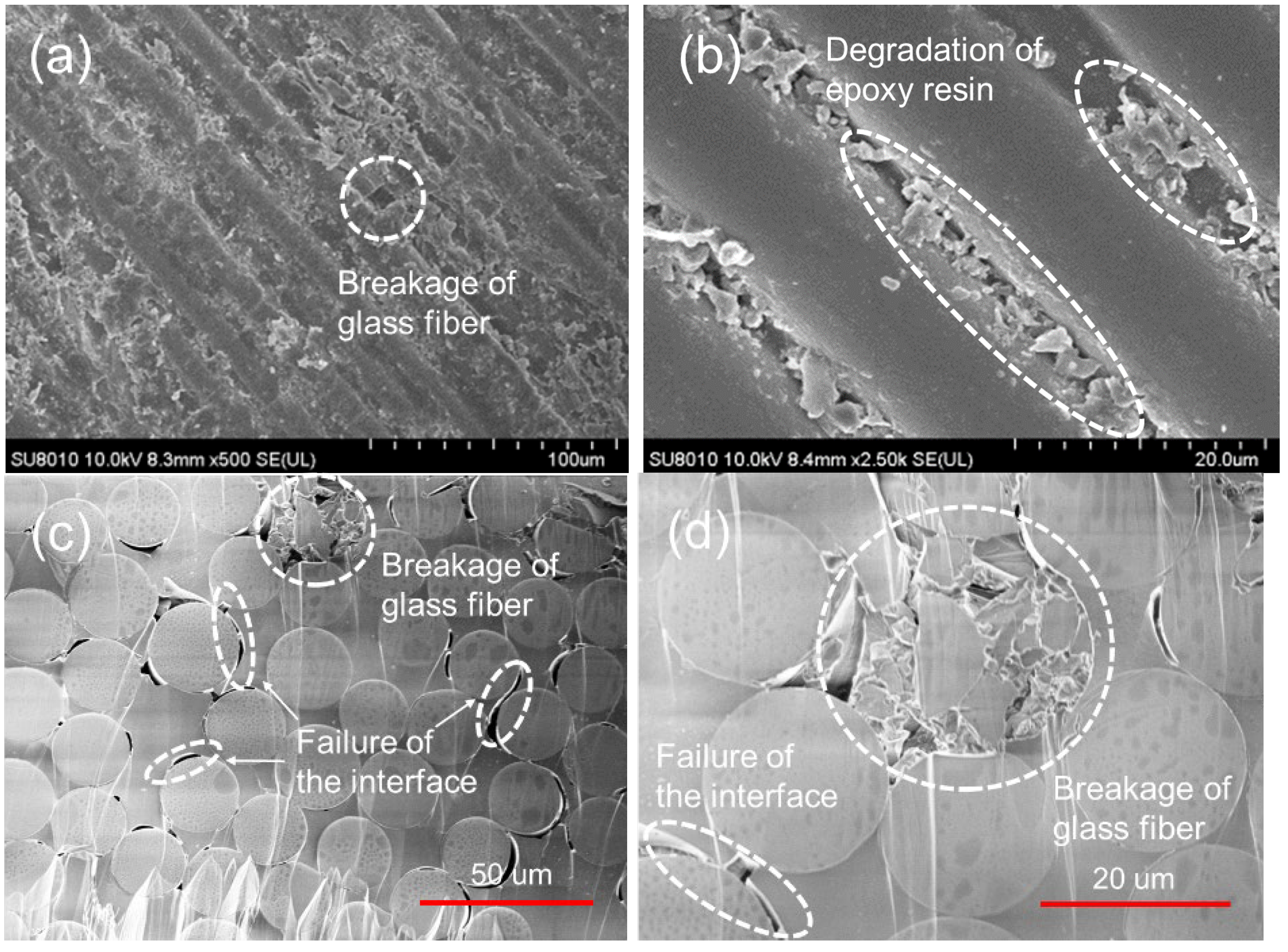 Polymers 14 02922 g007