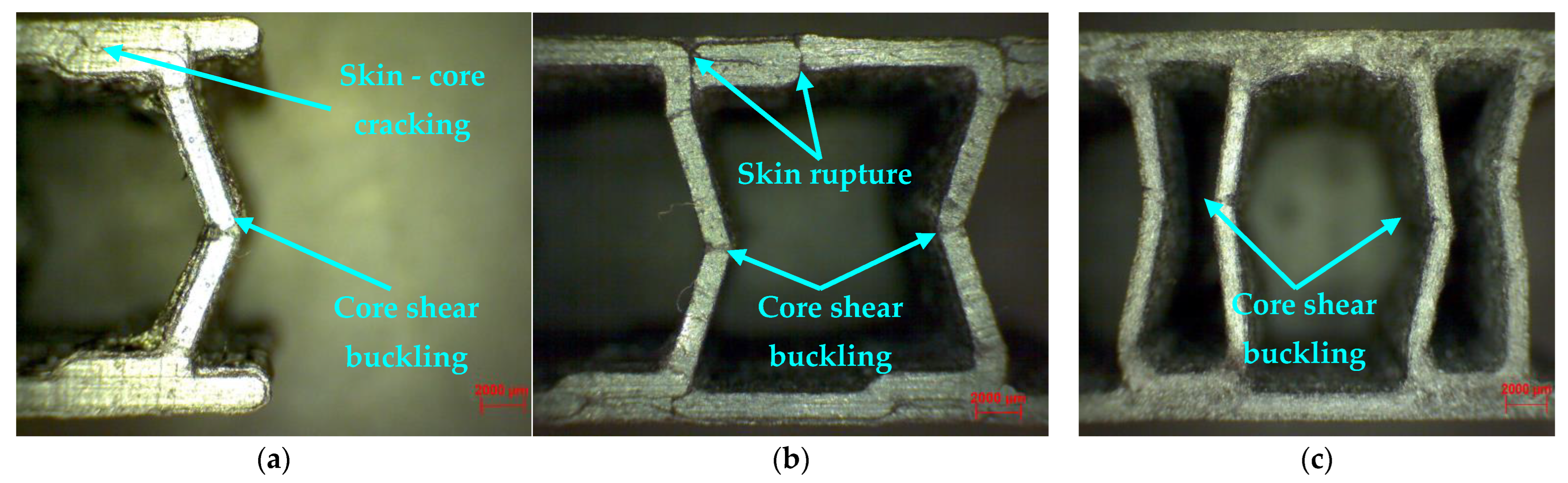 Polymers 14 02923 g007
